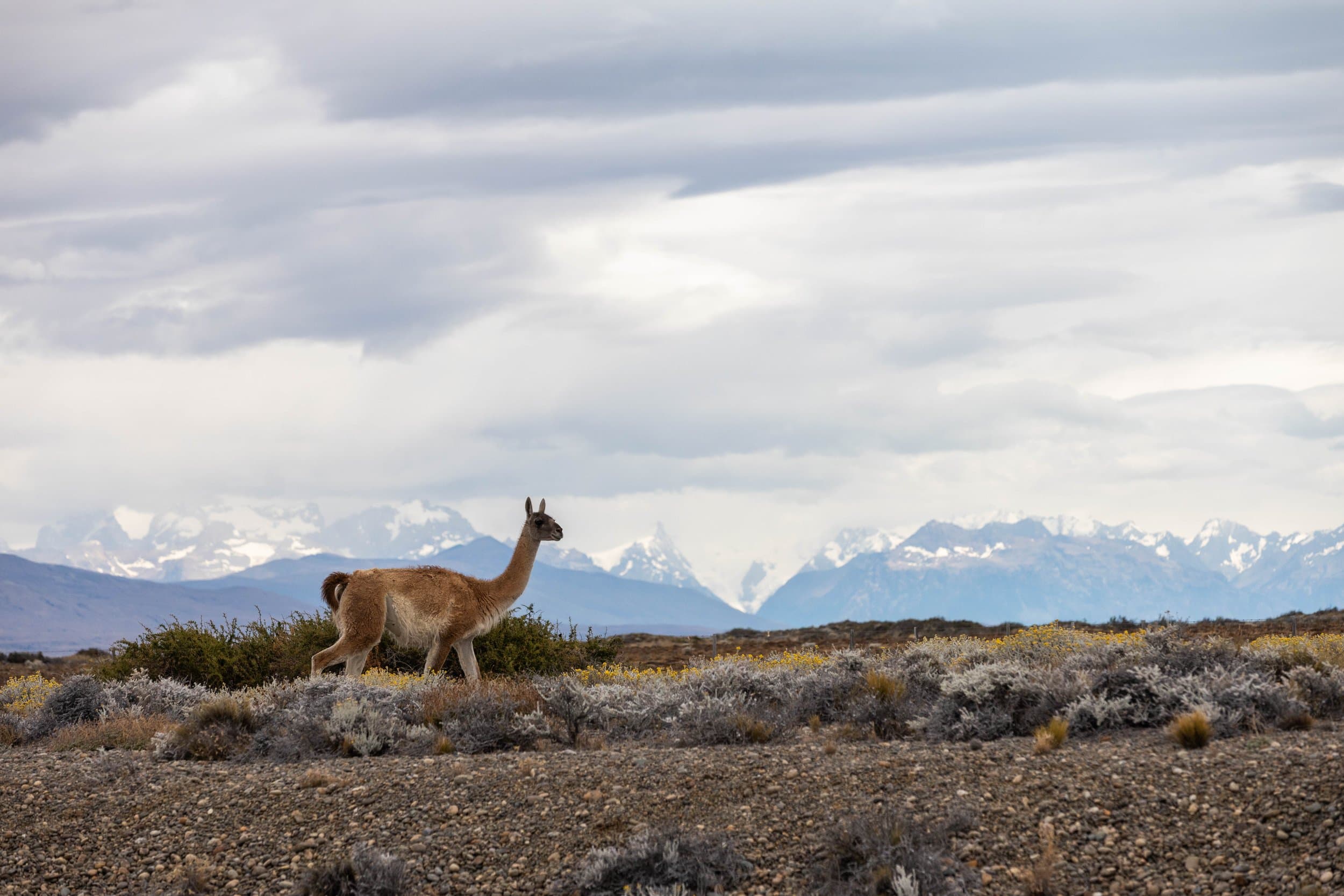 Argentina photography