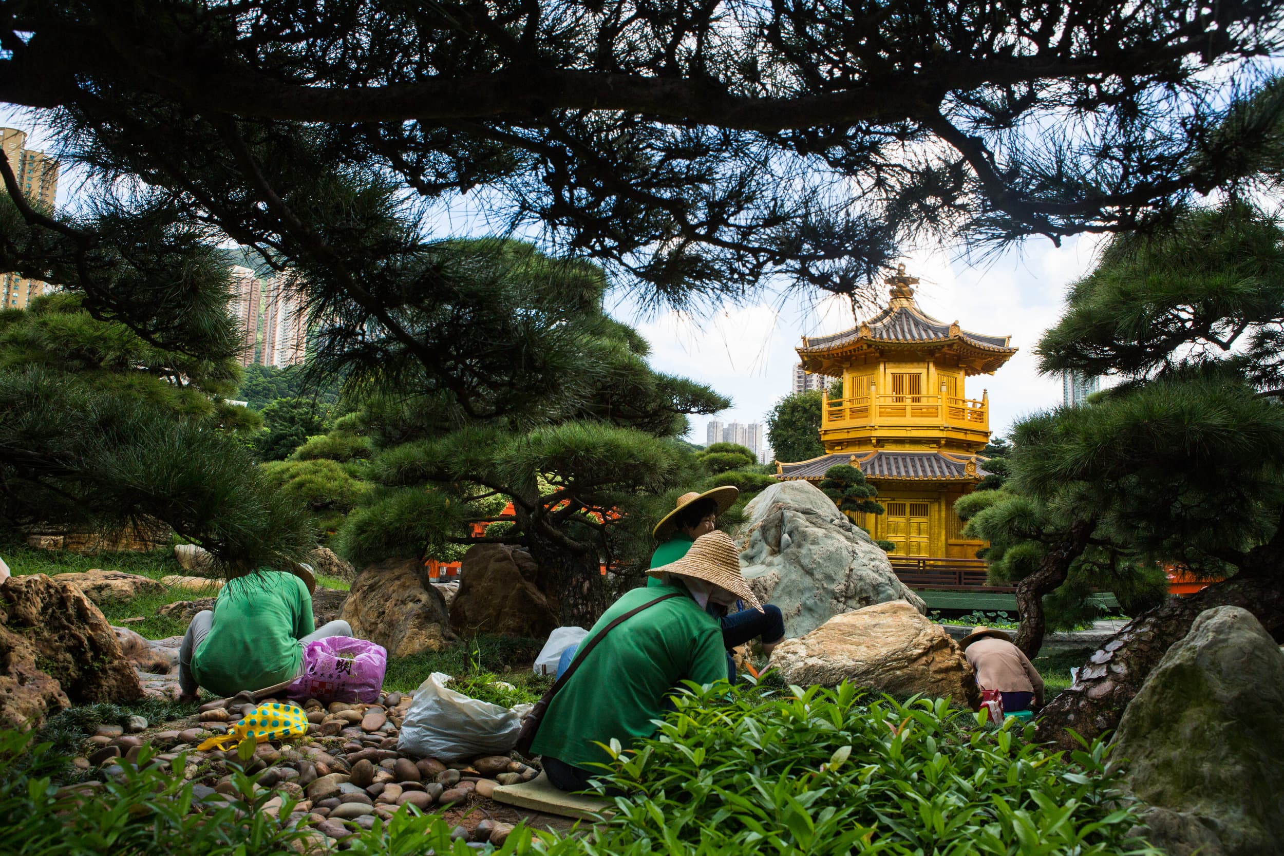 China & Hong Kong photography