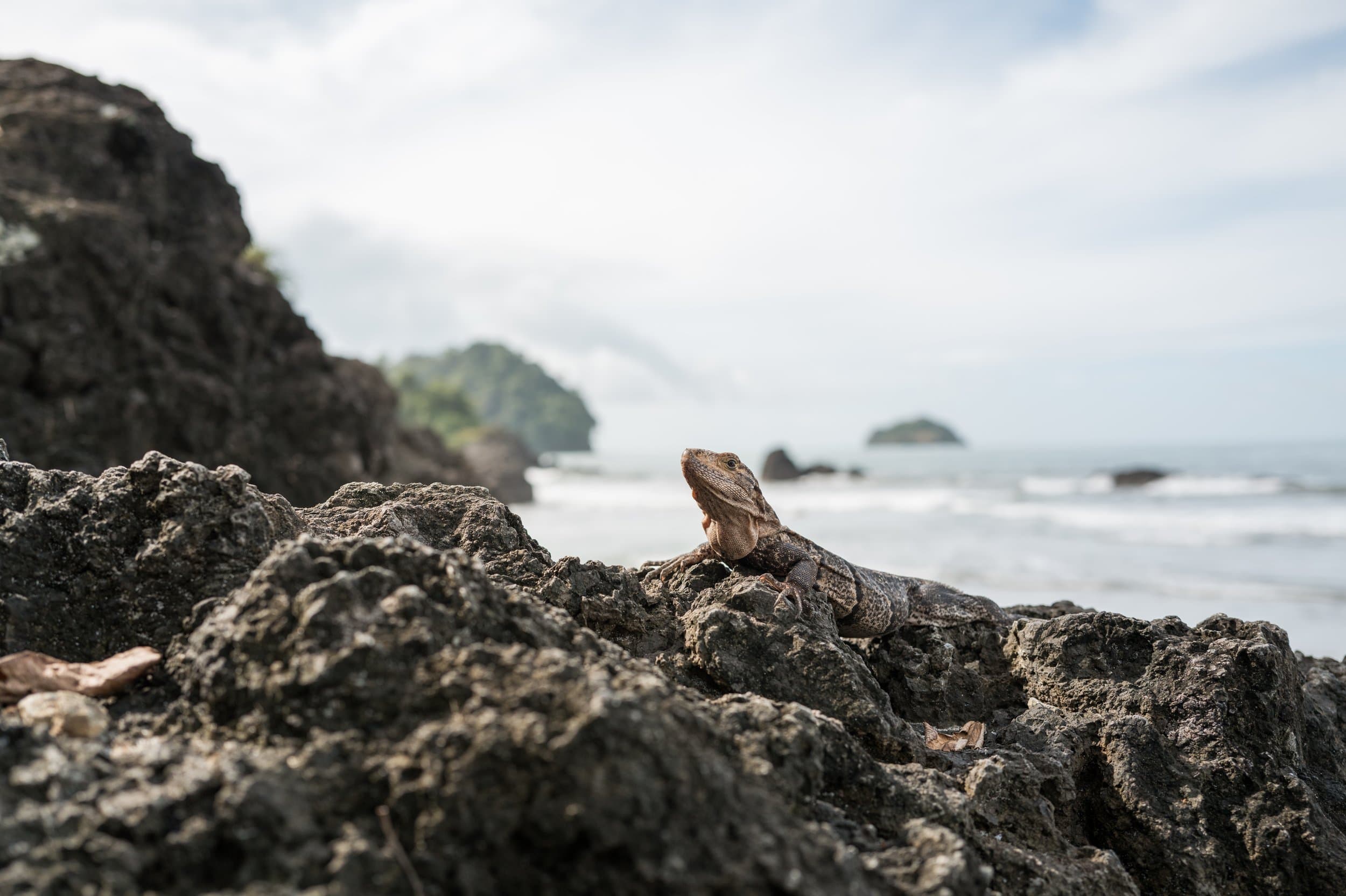 Costa Rica photography