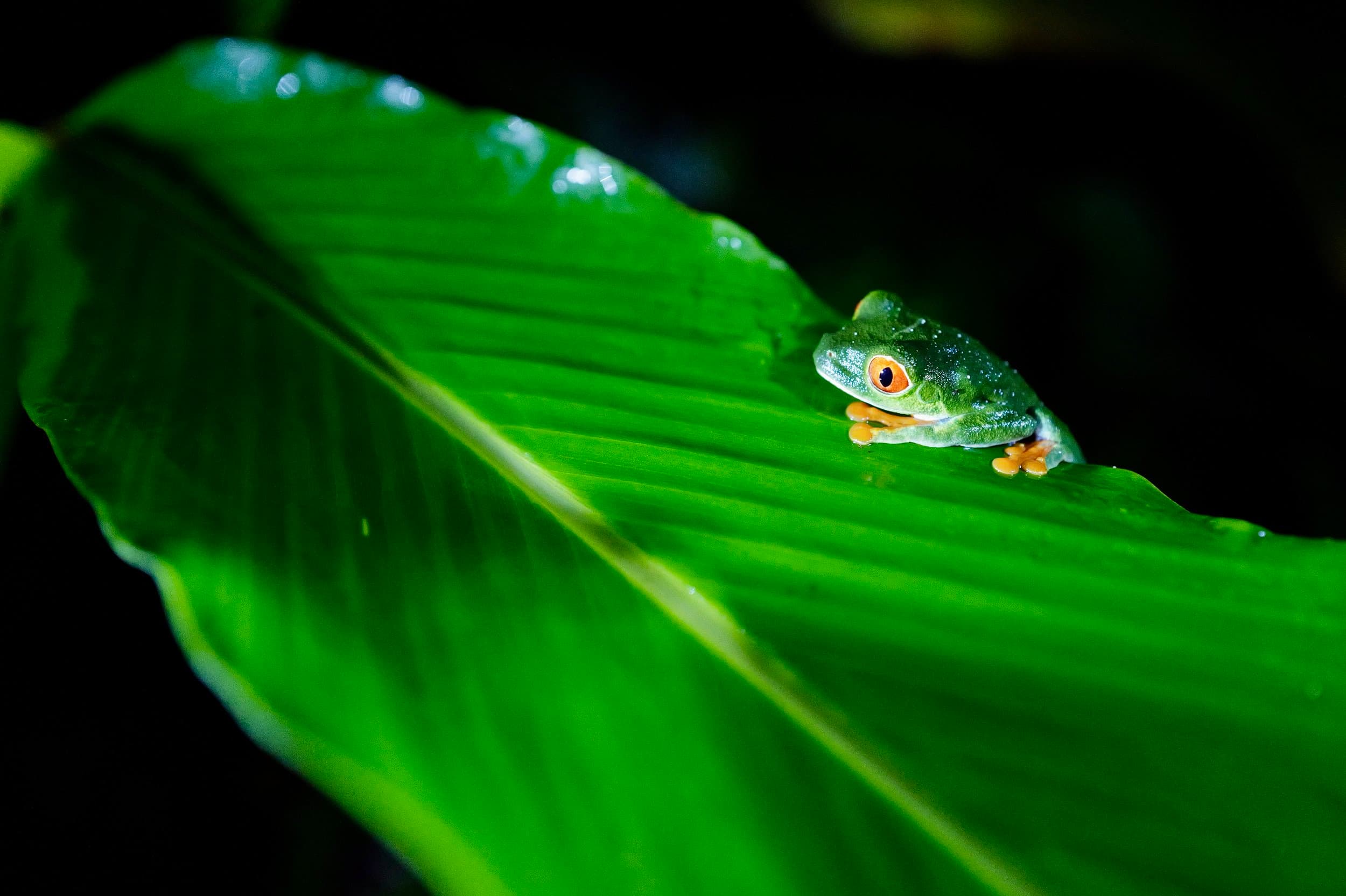 Costa Rica photography