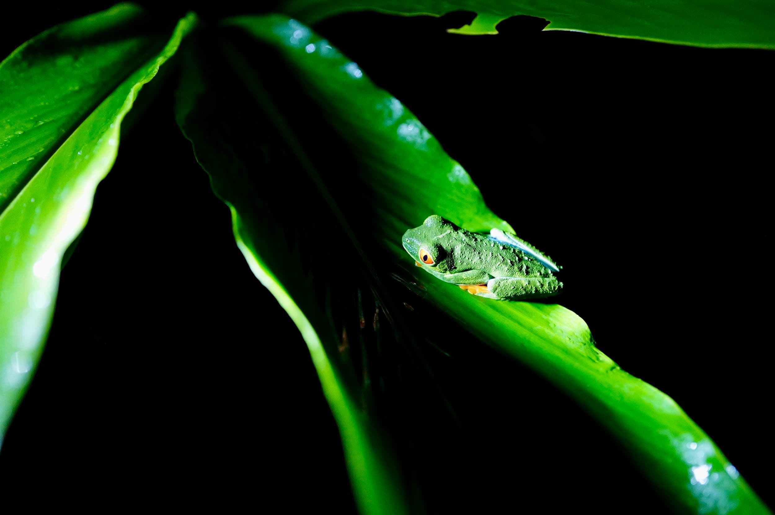 Costa Rica photography