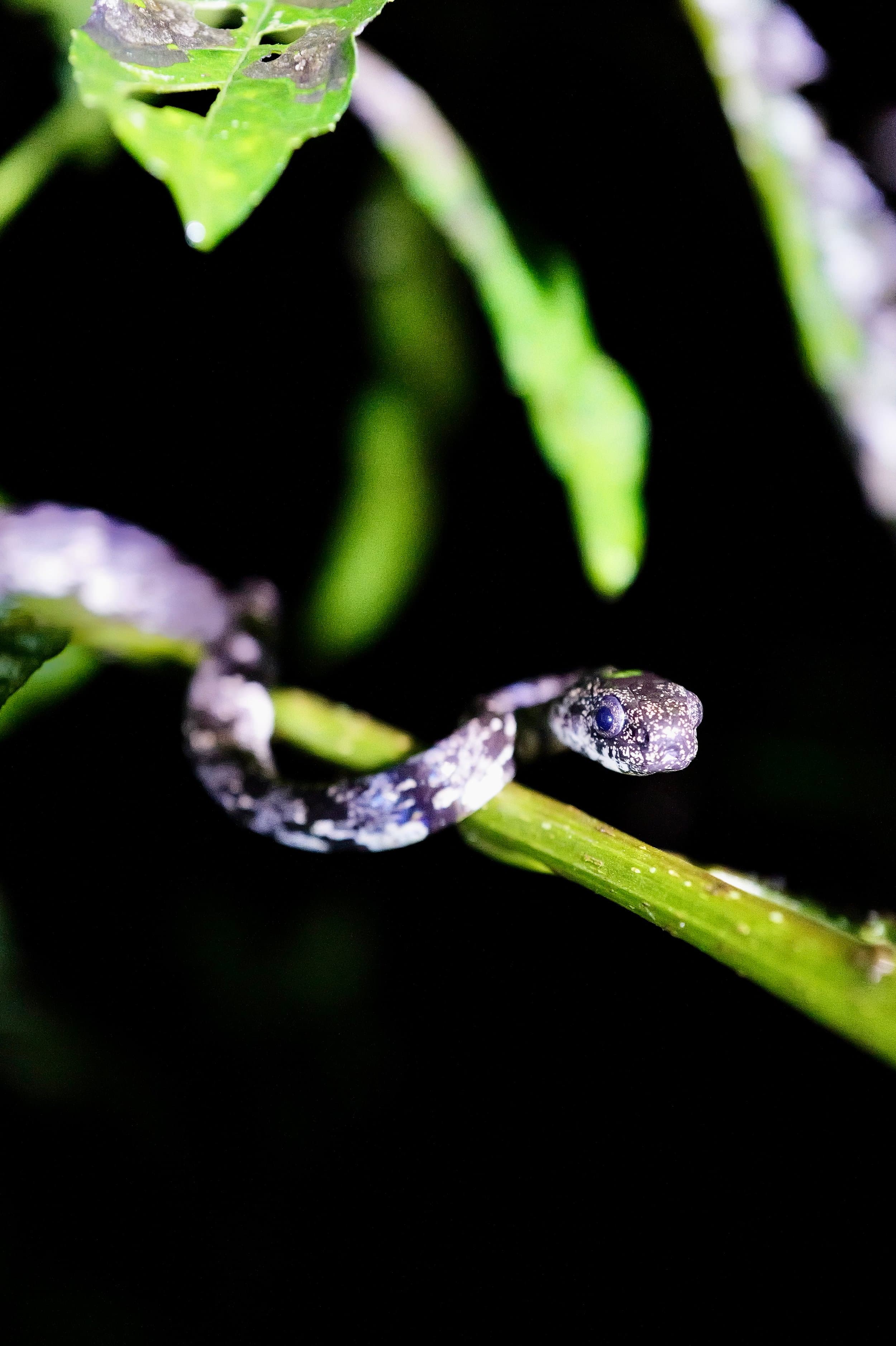 Costa Rica photography