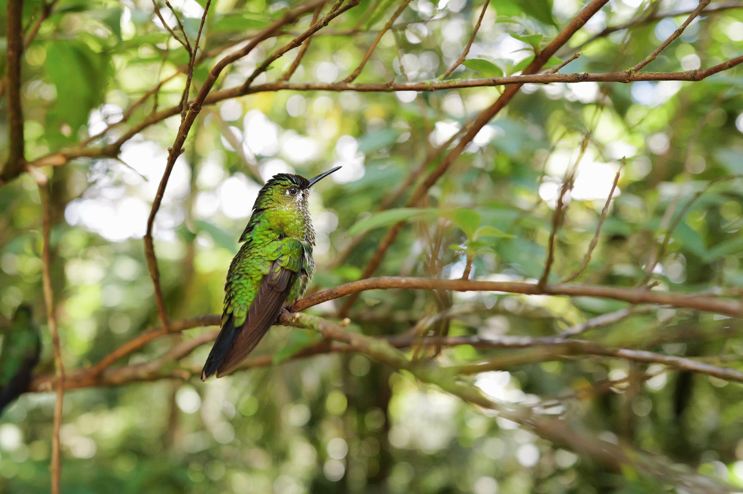 Costa Rica photography