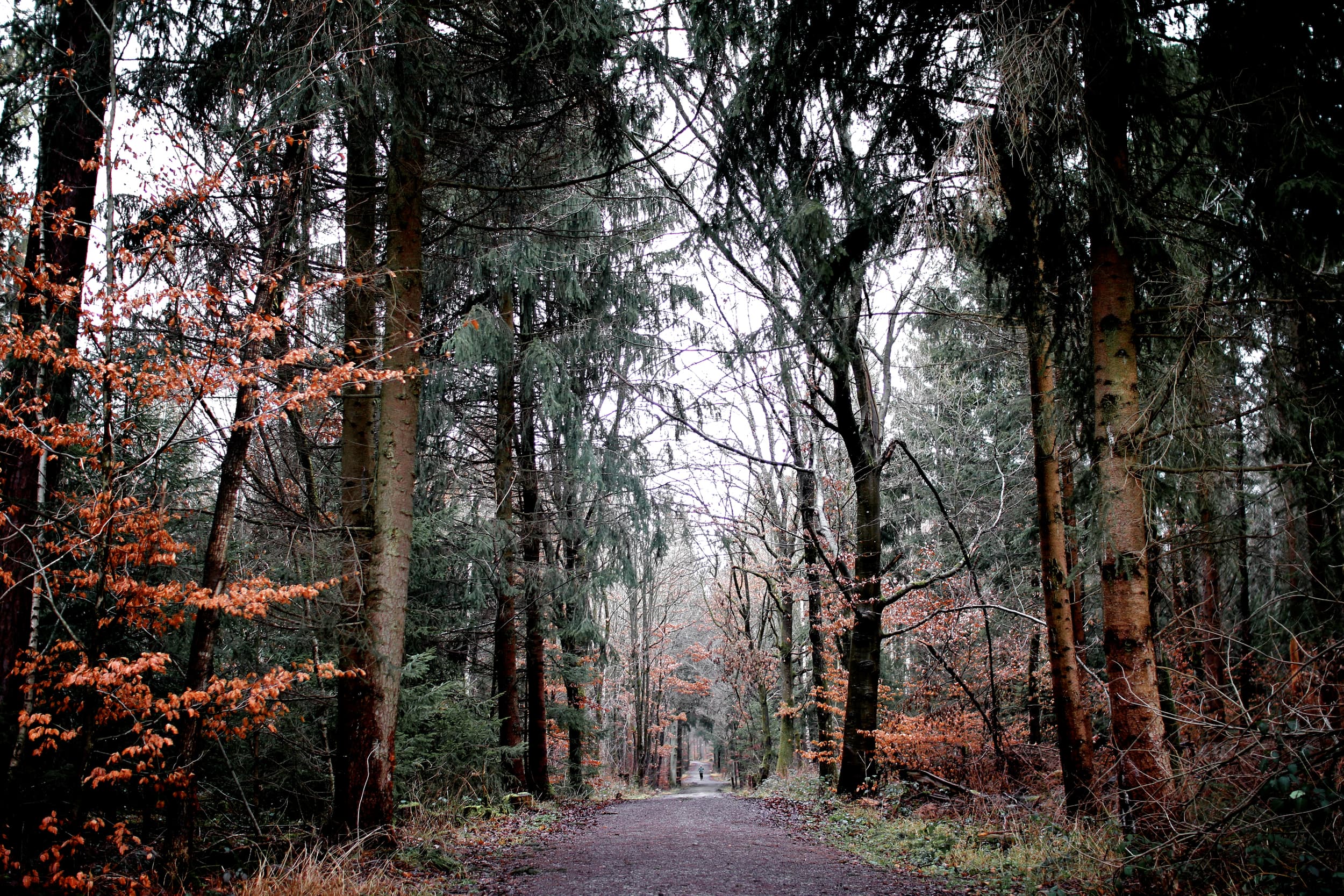 Germany photography