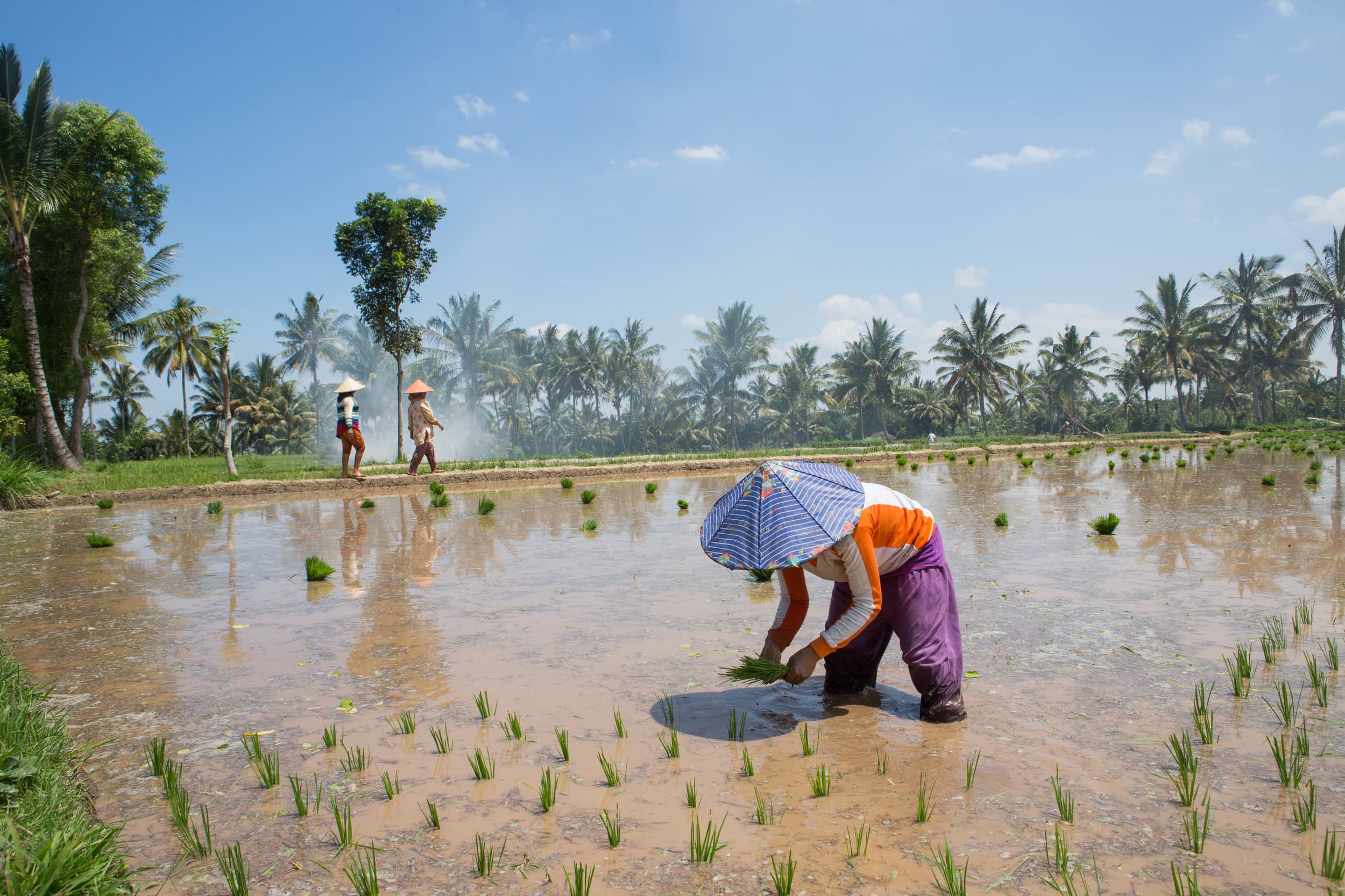 Indonesia photography