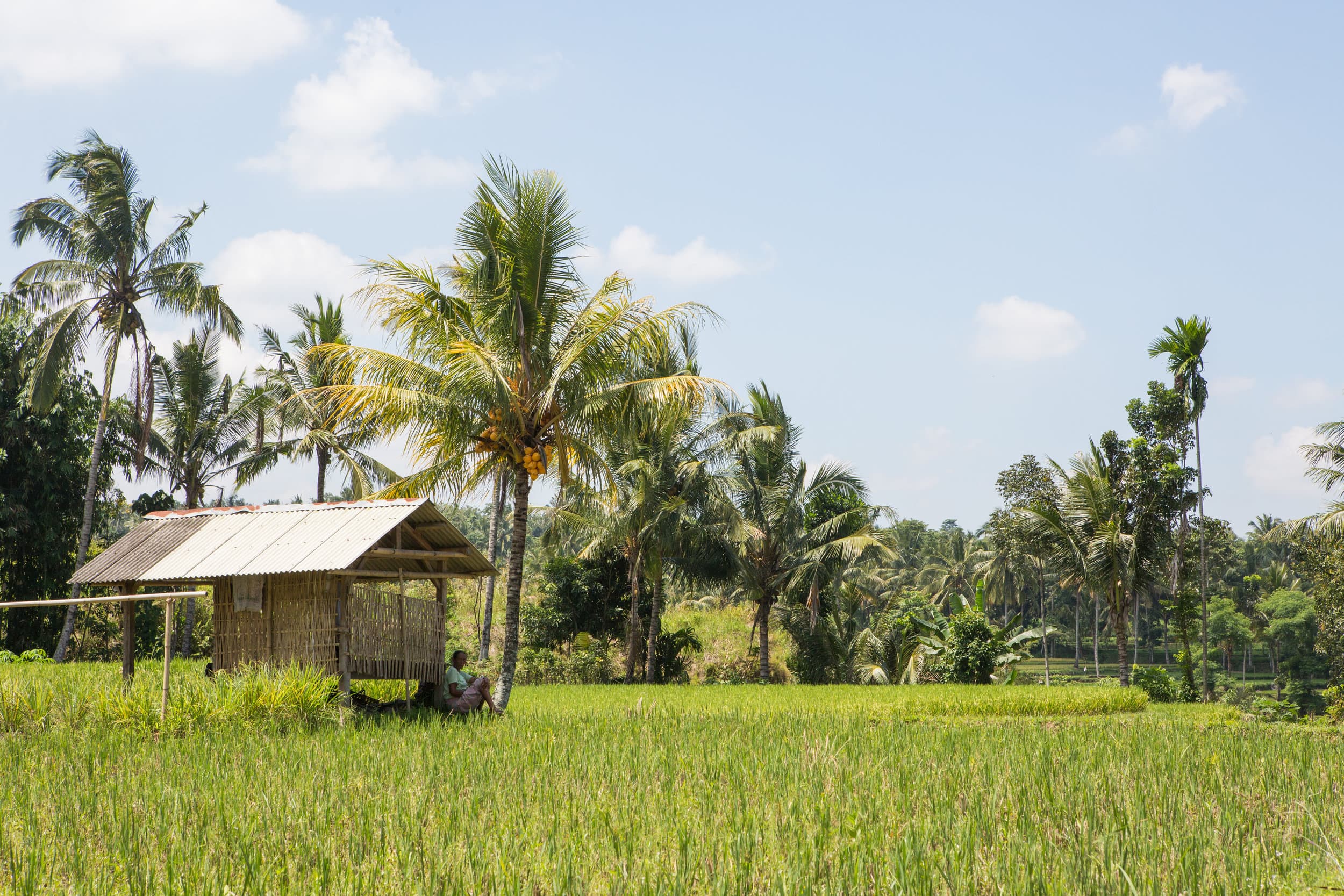 Indonesia photography
