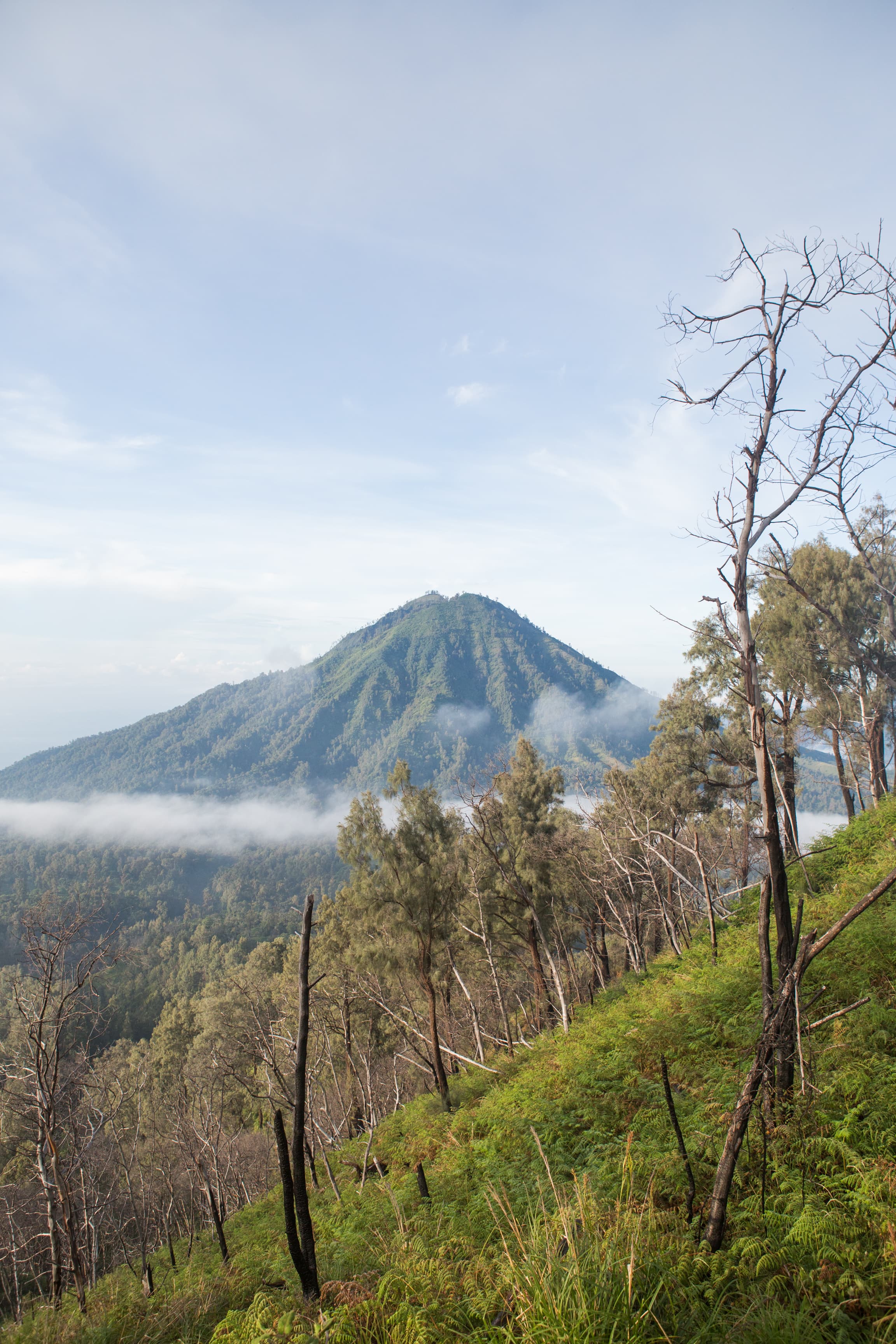 Indonesia photography
