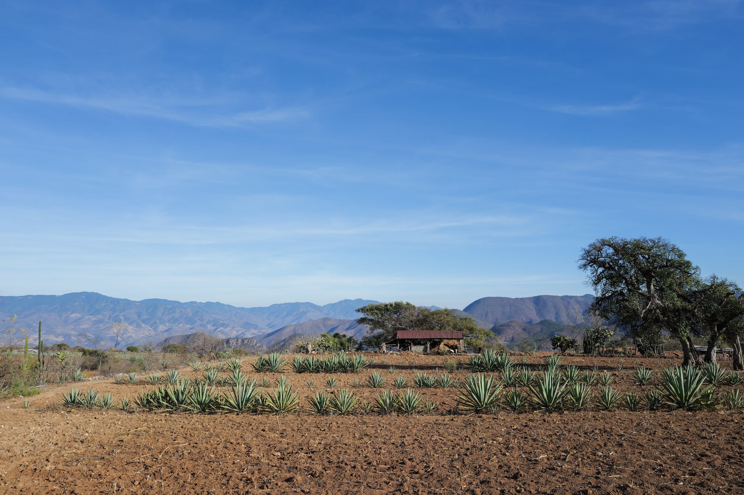 Mexico photography
