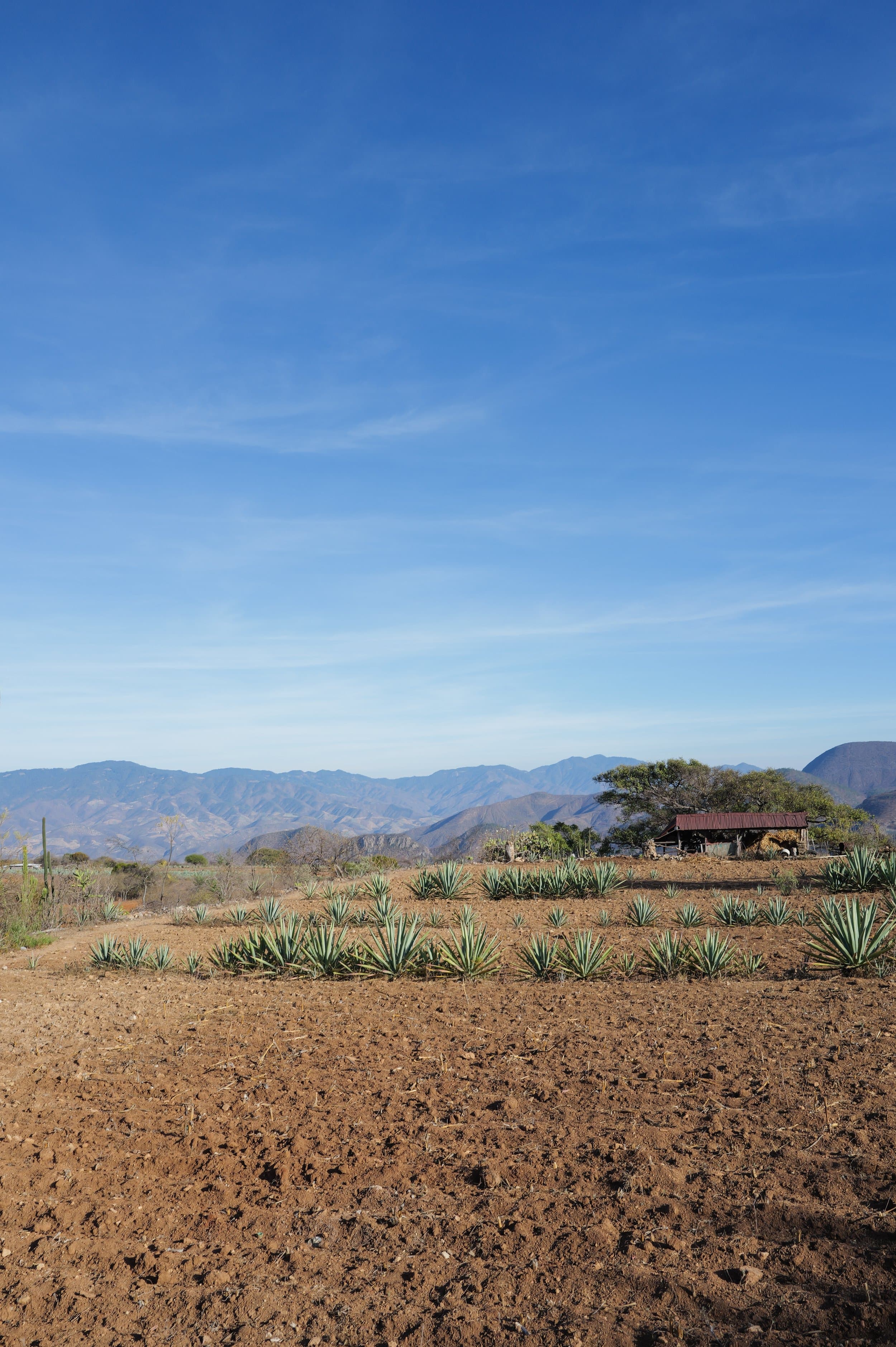 Mexico photography