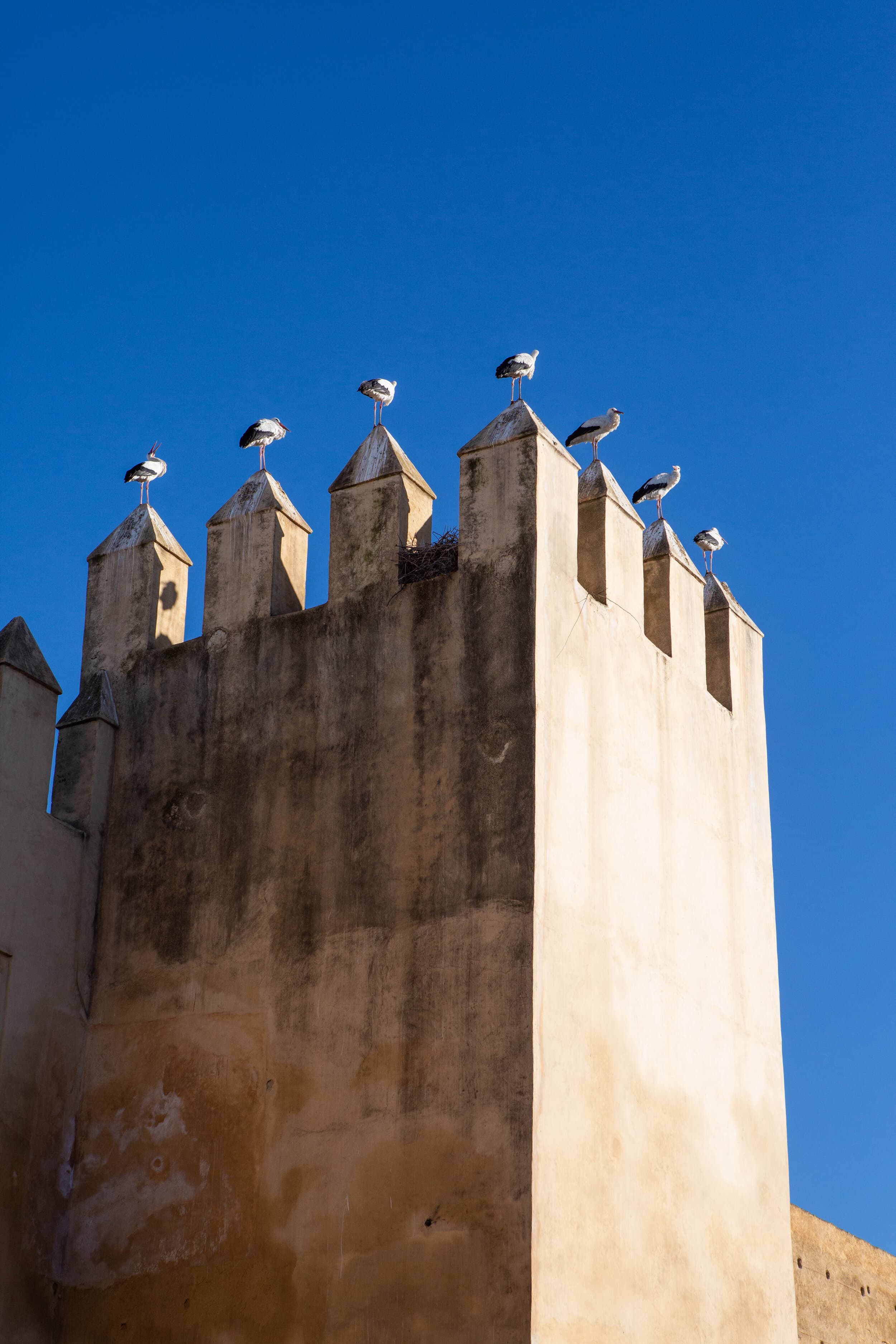 Morocco photography