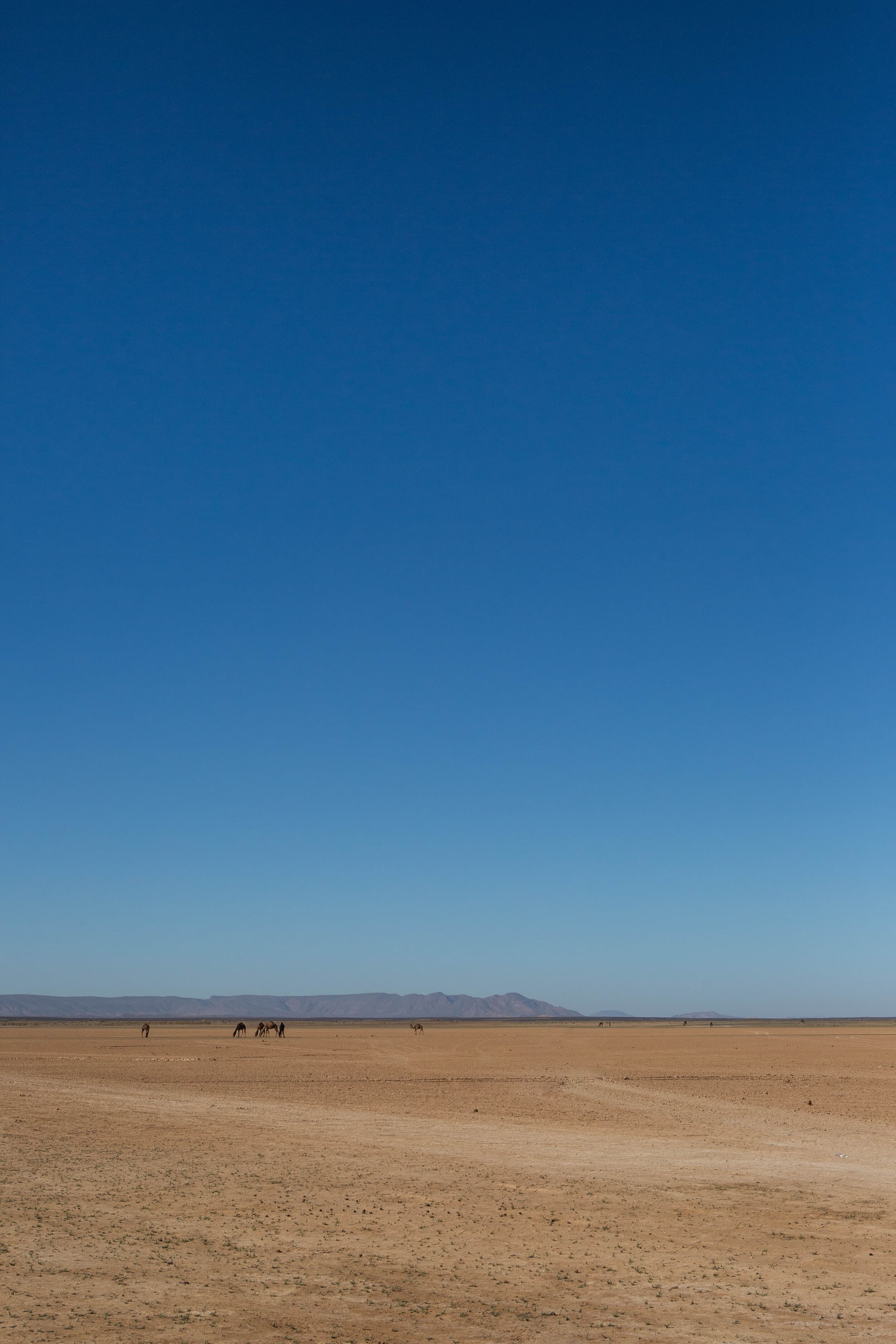Morocco photography