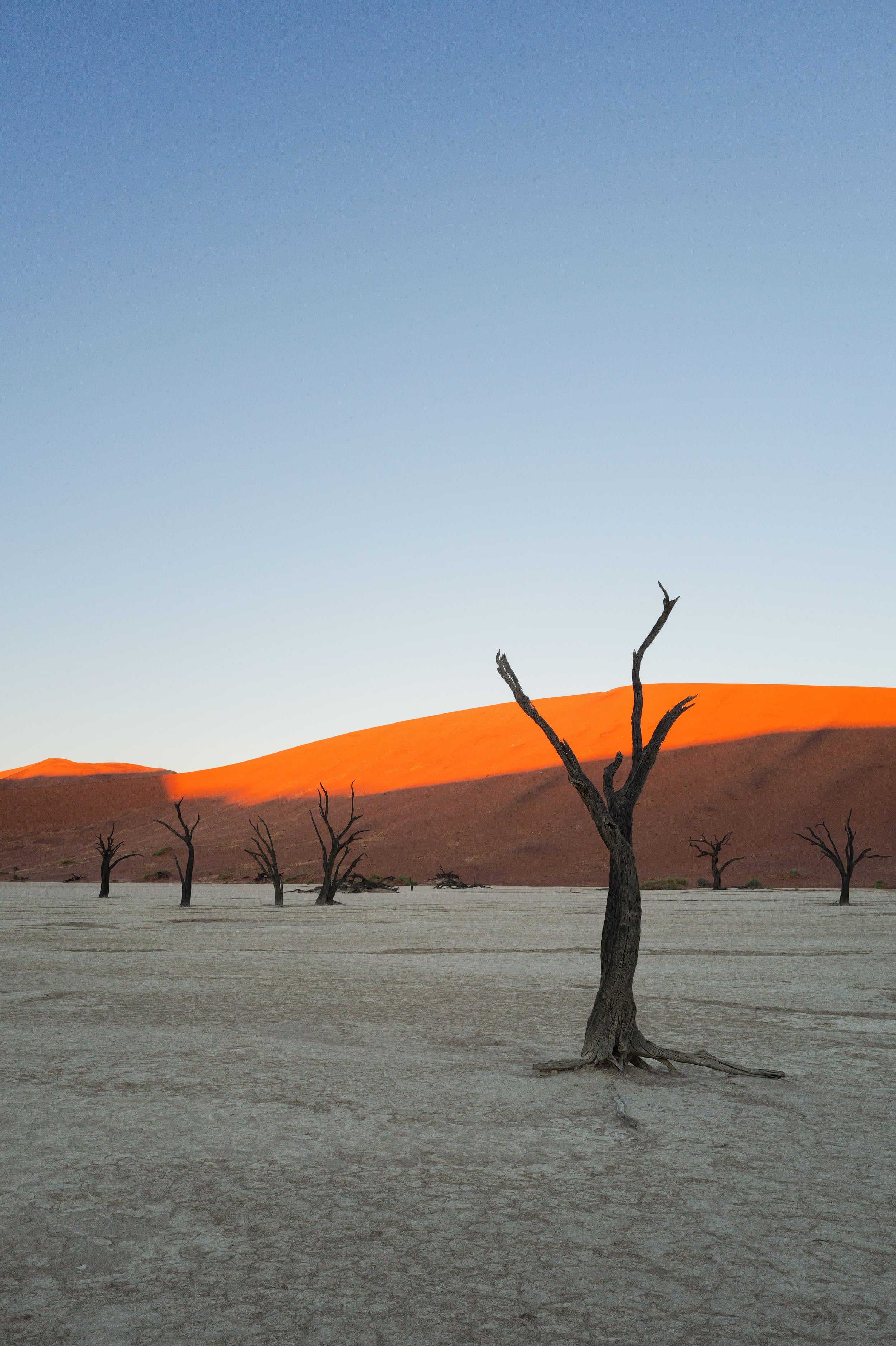 Namibia photography
