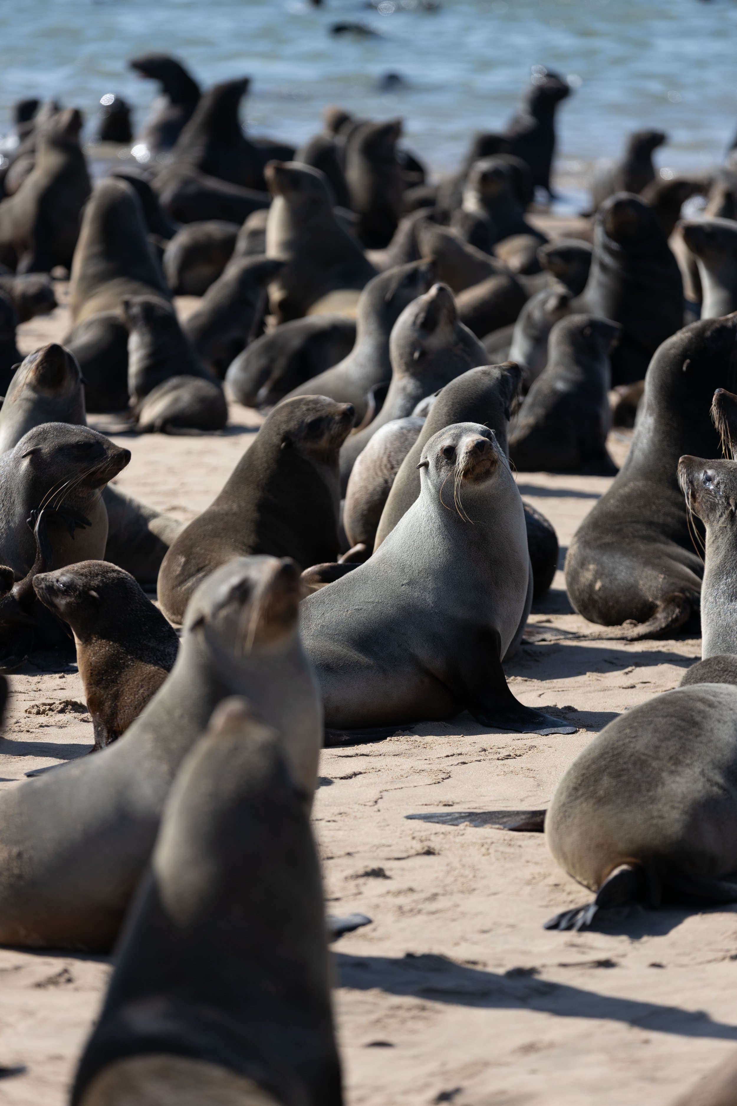 Namibia photography