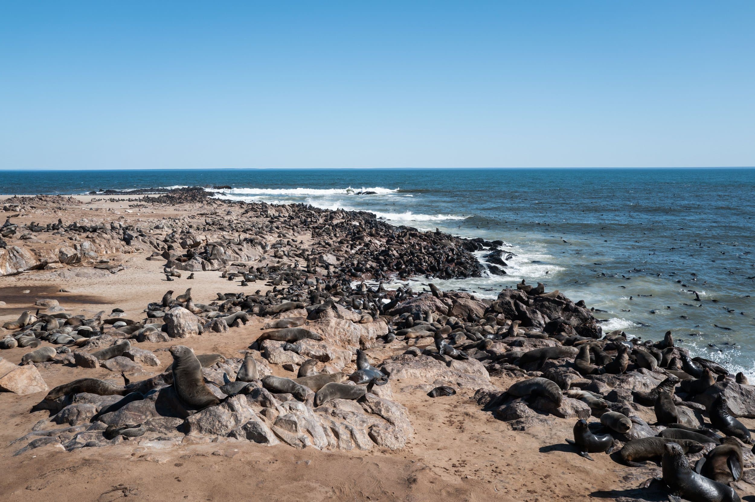 Namibia photography
