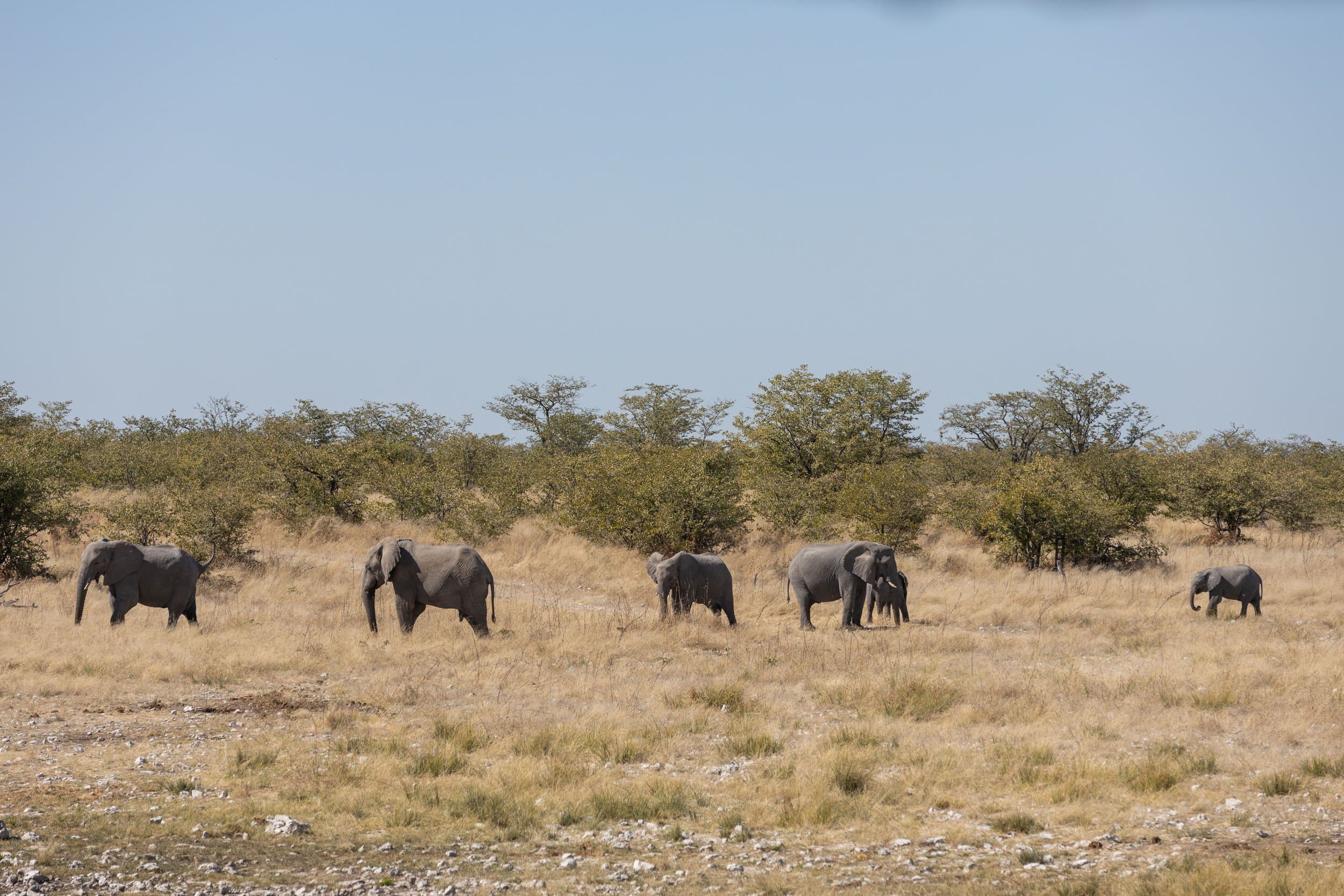 Namibia photography