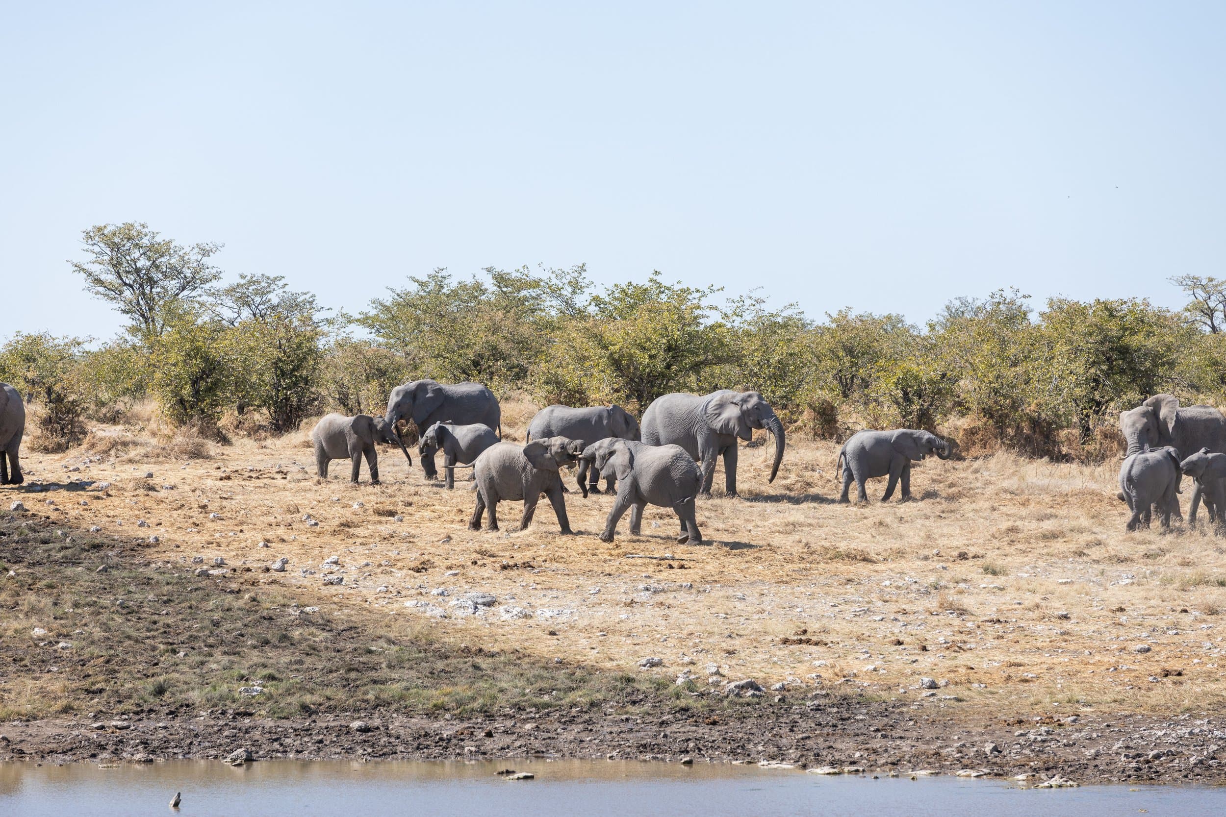 Namibia photography
