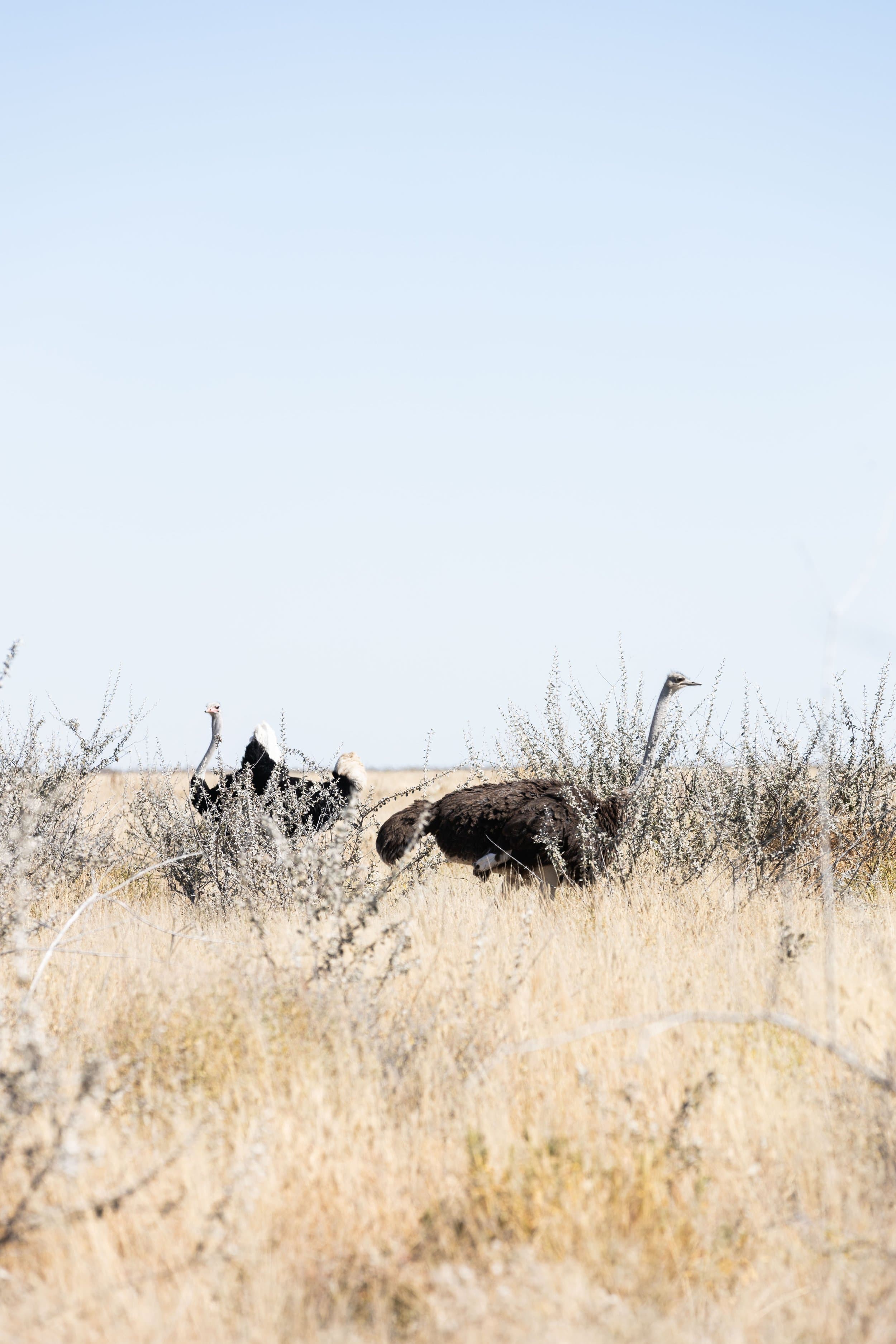 Namibia photography