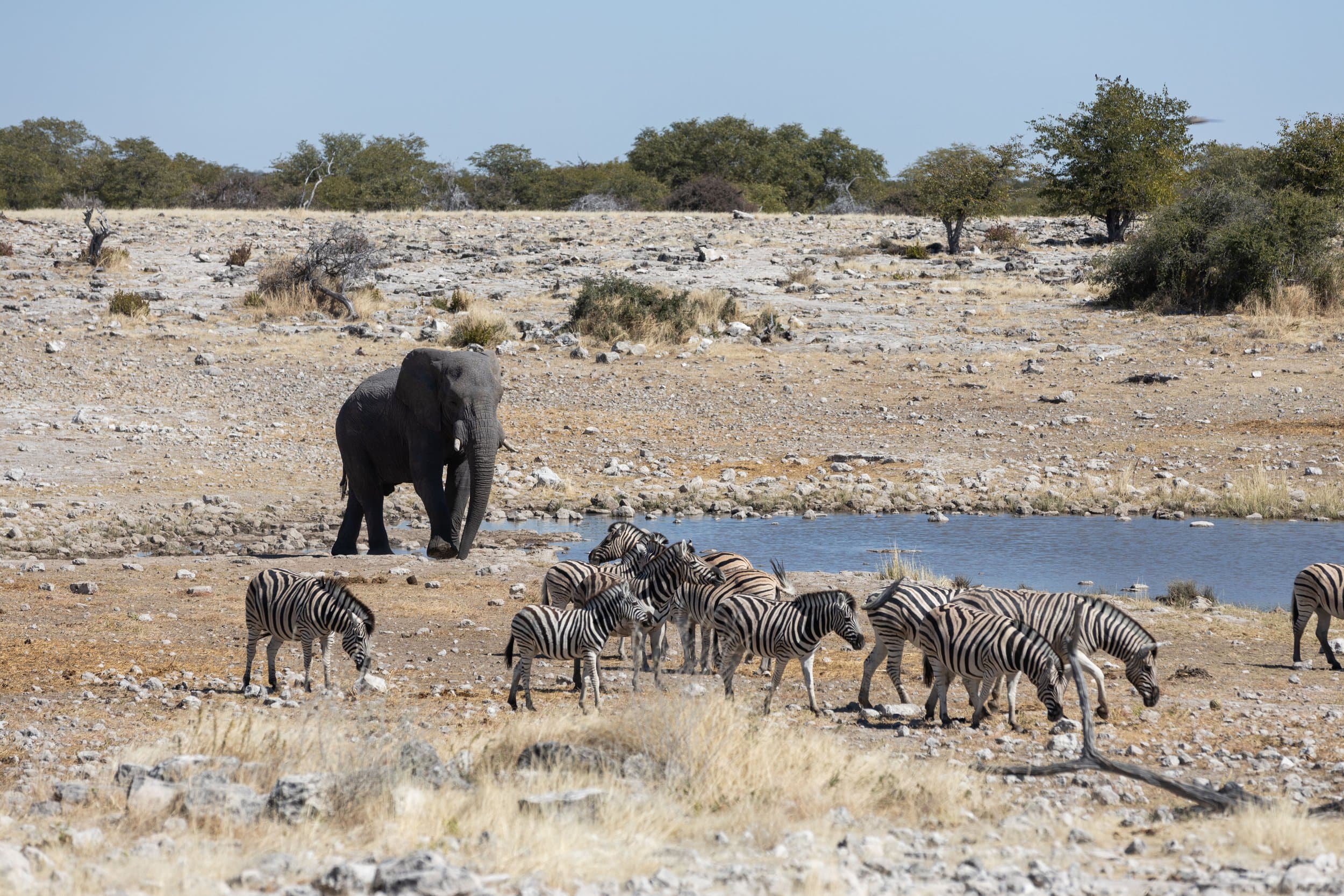 Namibia photography