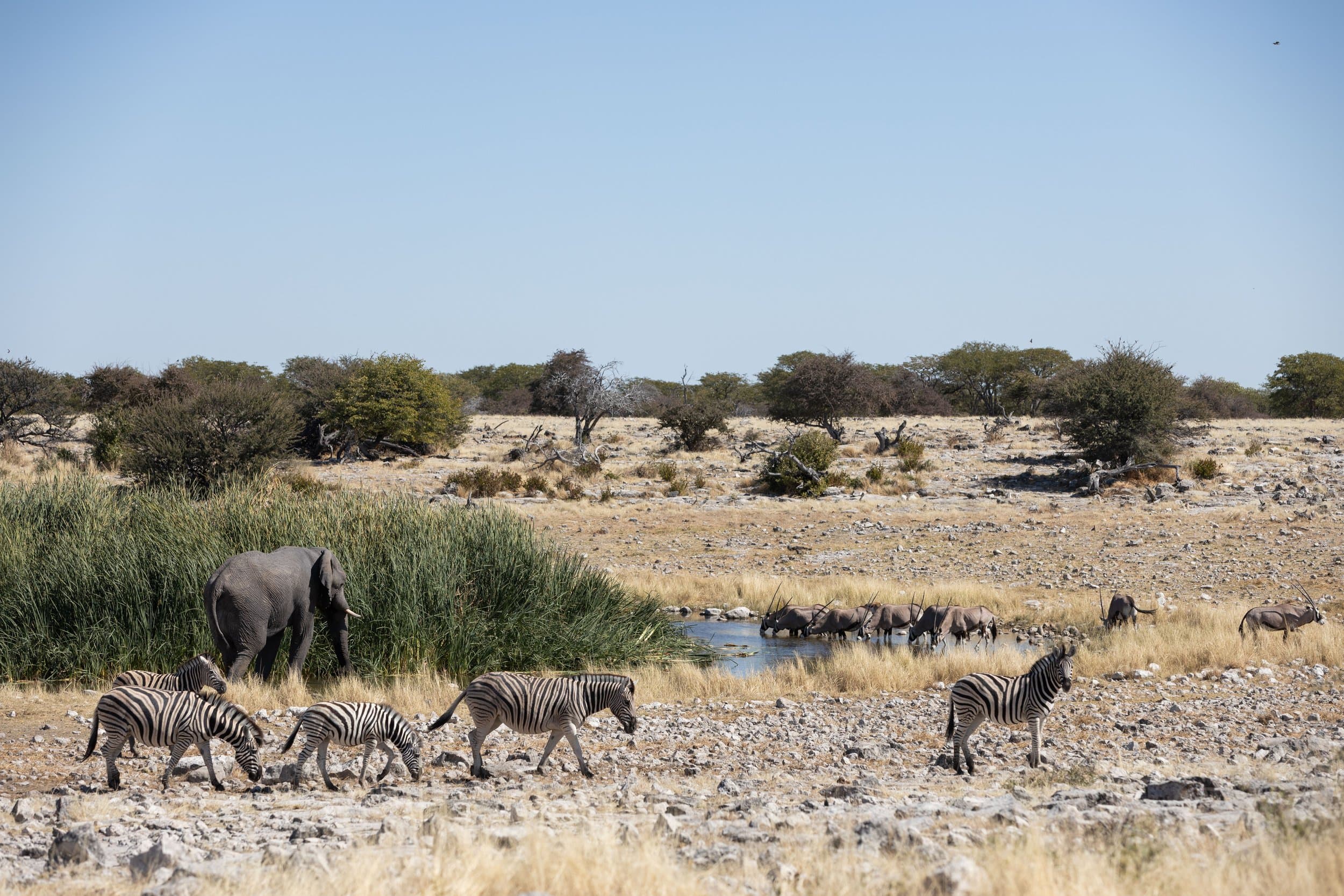Namibia photography
