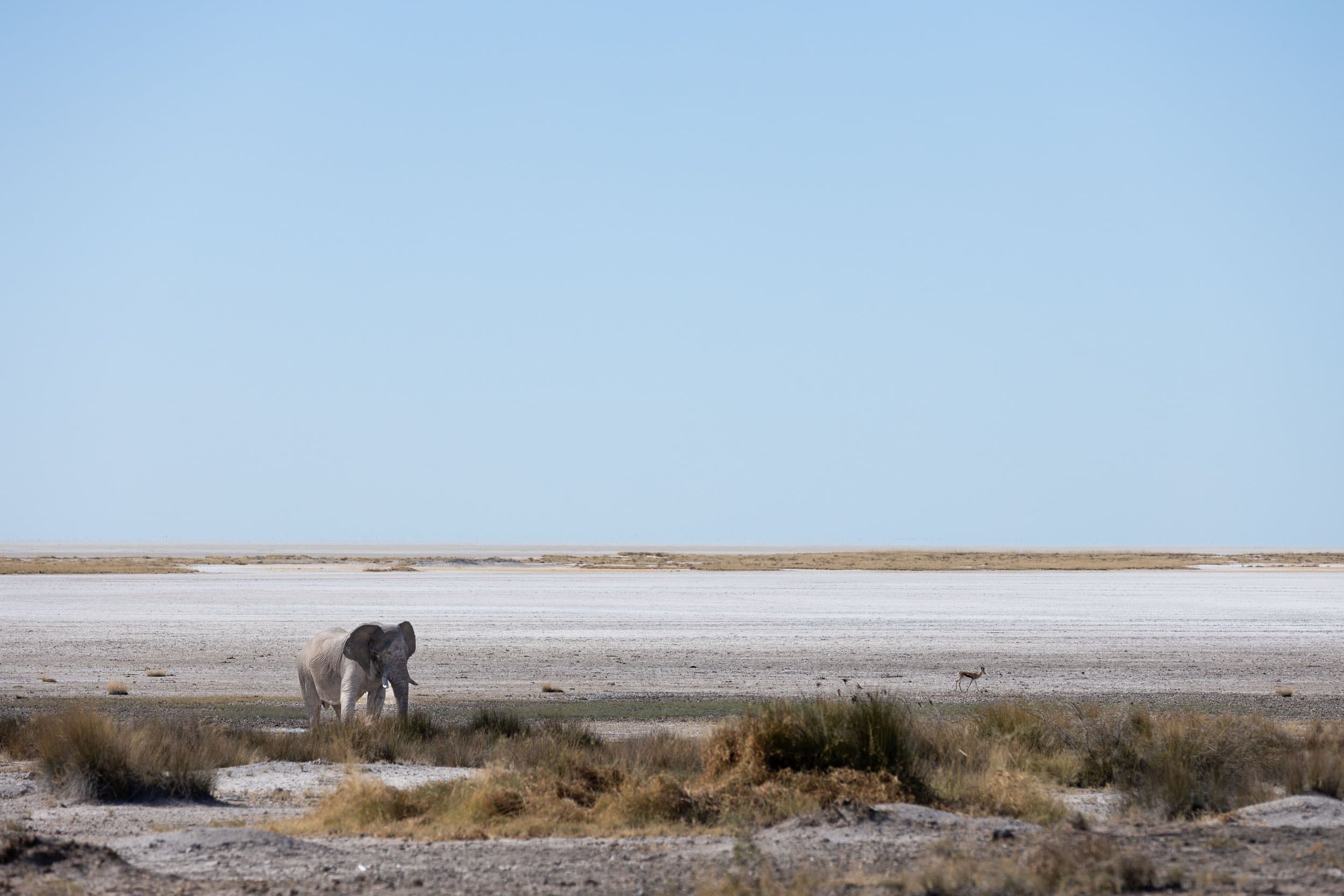 Namibia photography