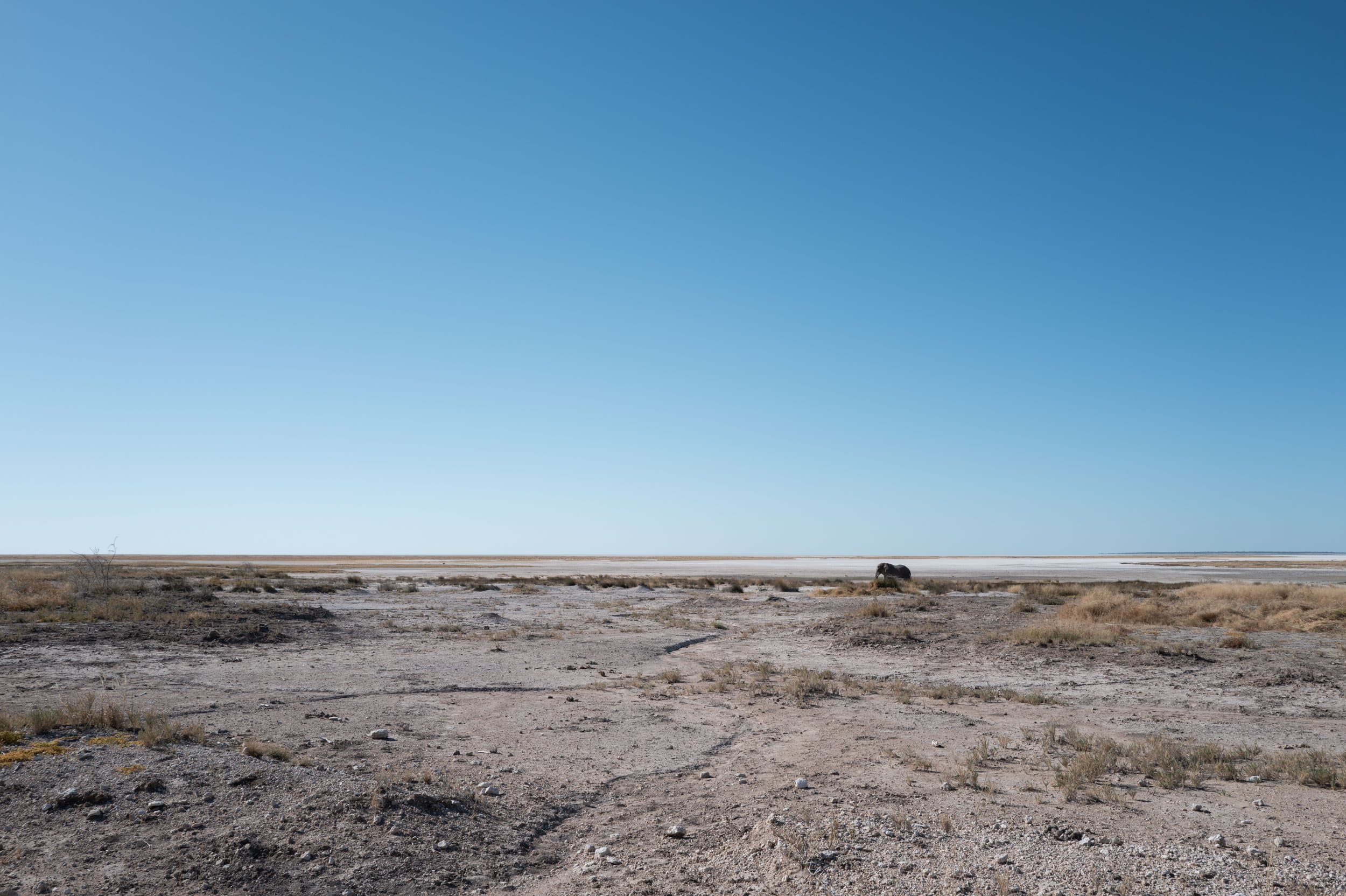 Namibia photography