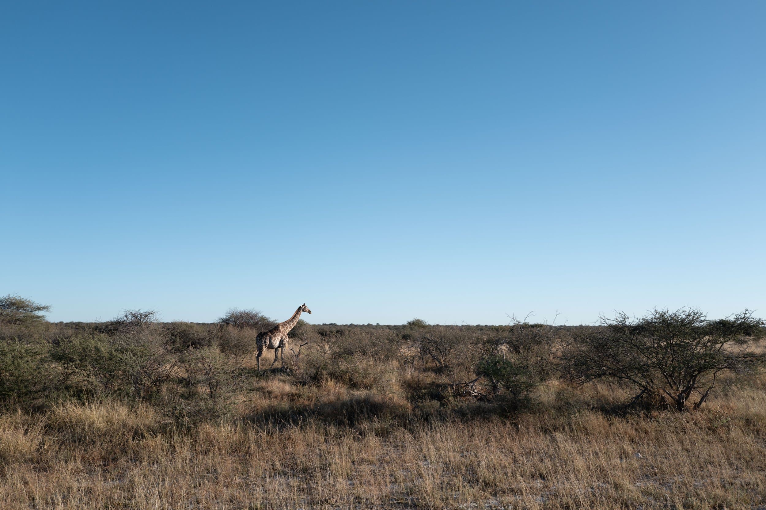 Namibia photography