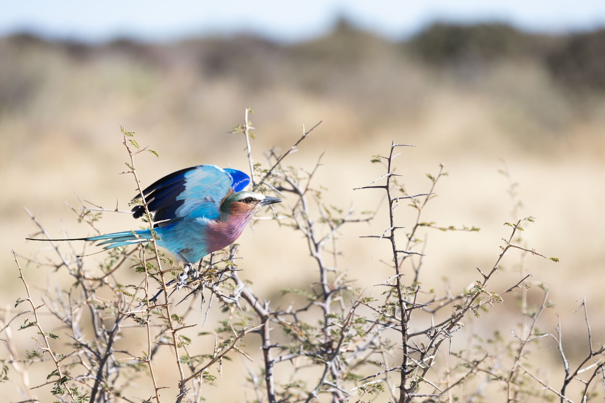 Namibia photography