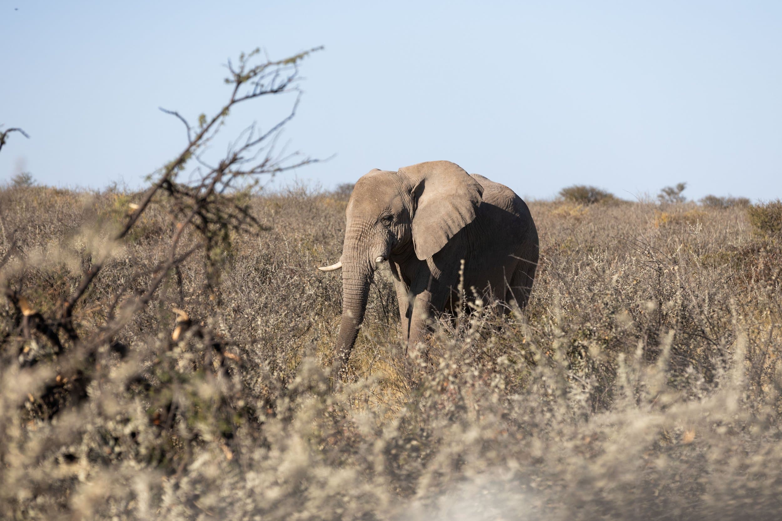 Namibia photography