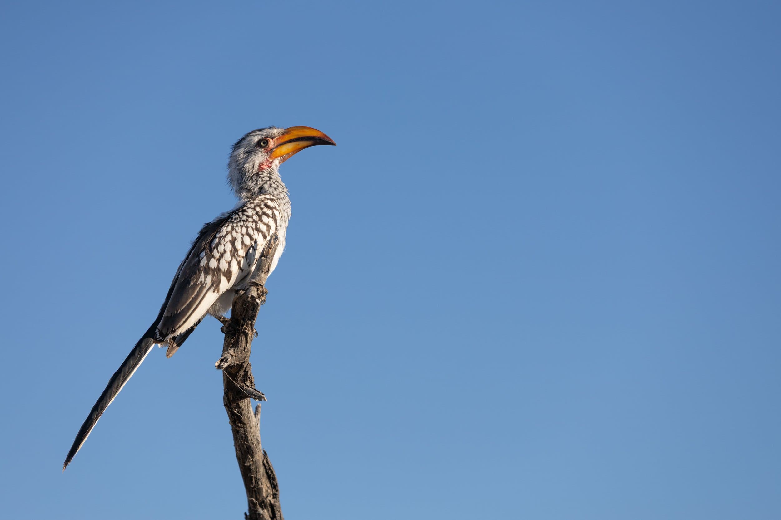 Namibia photography