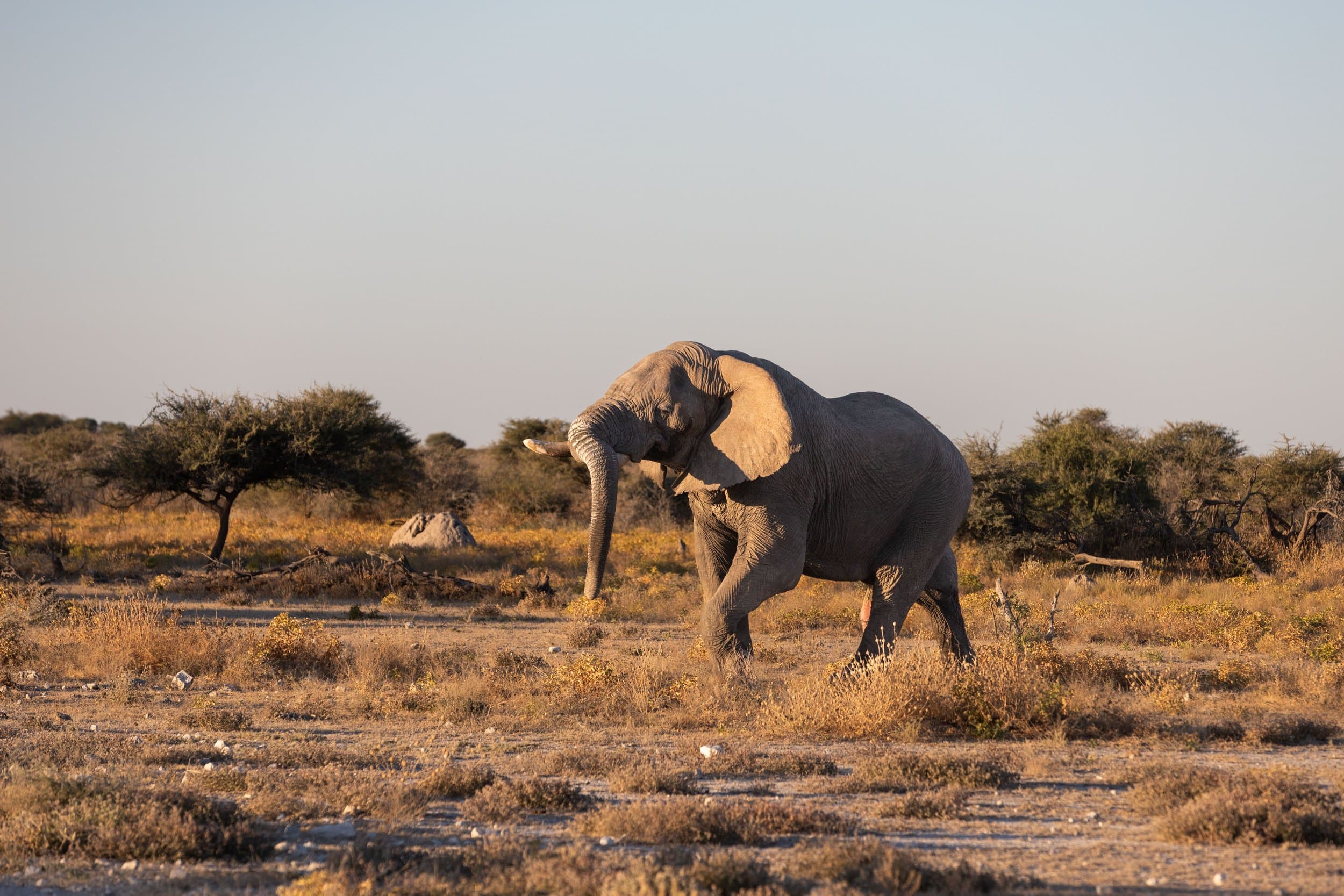 Namibia photography