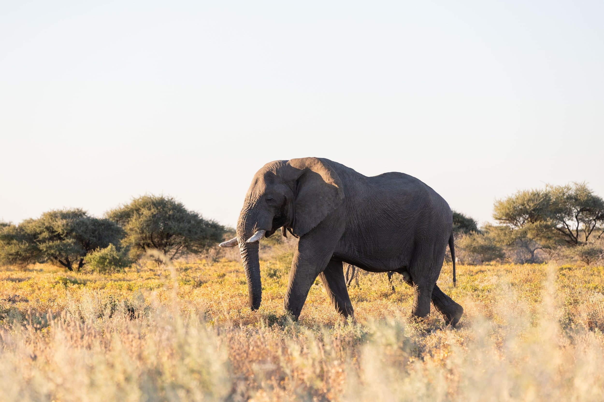 Namibia photography