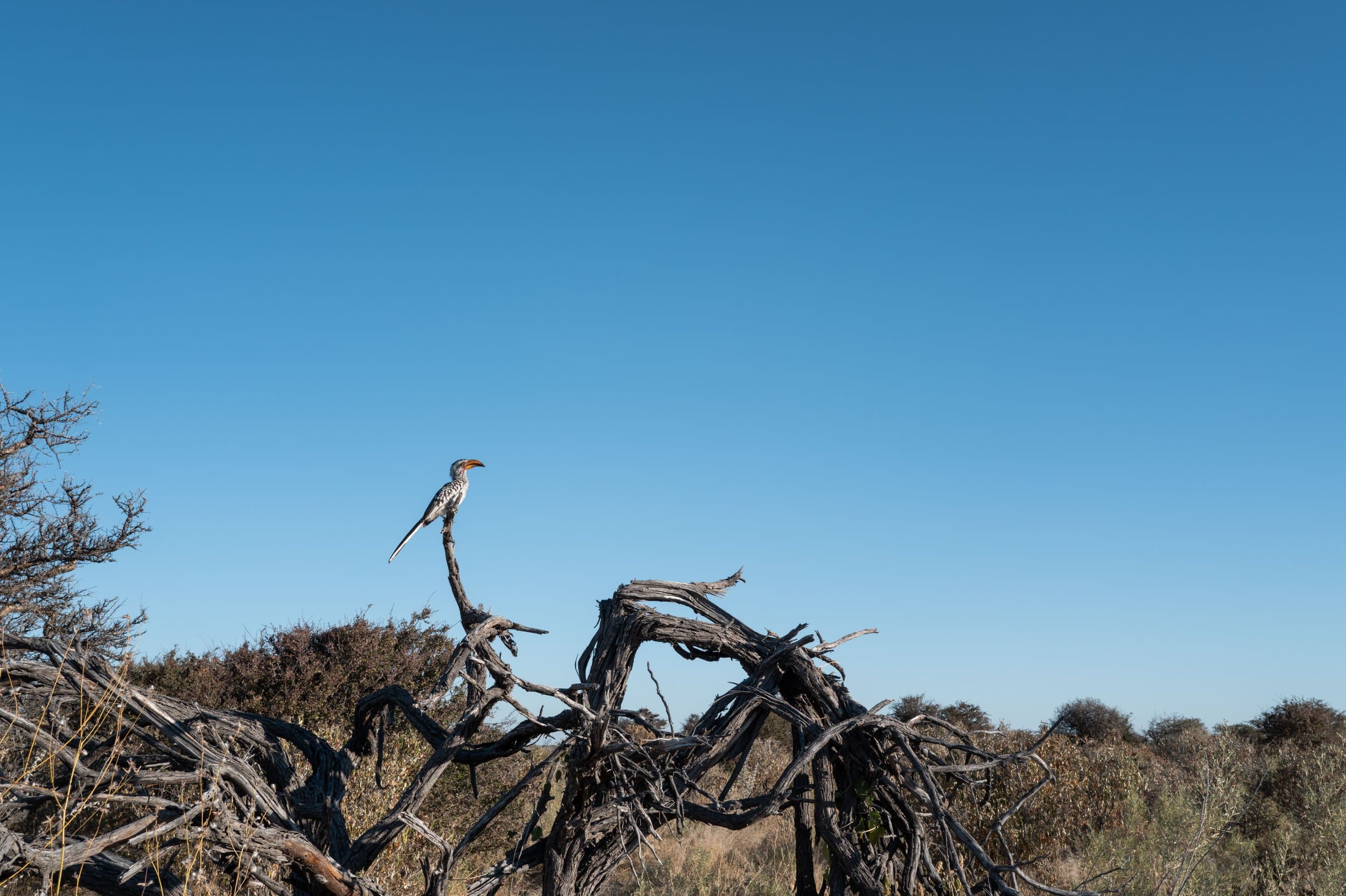 Namibia photography