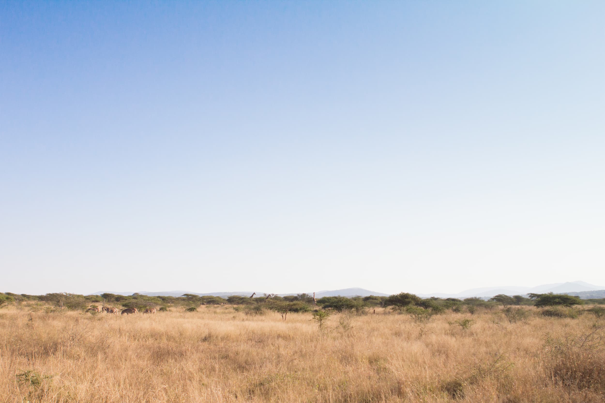 South Africa photography