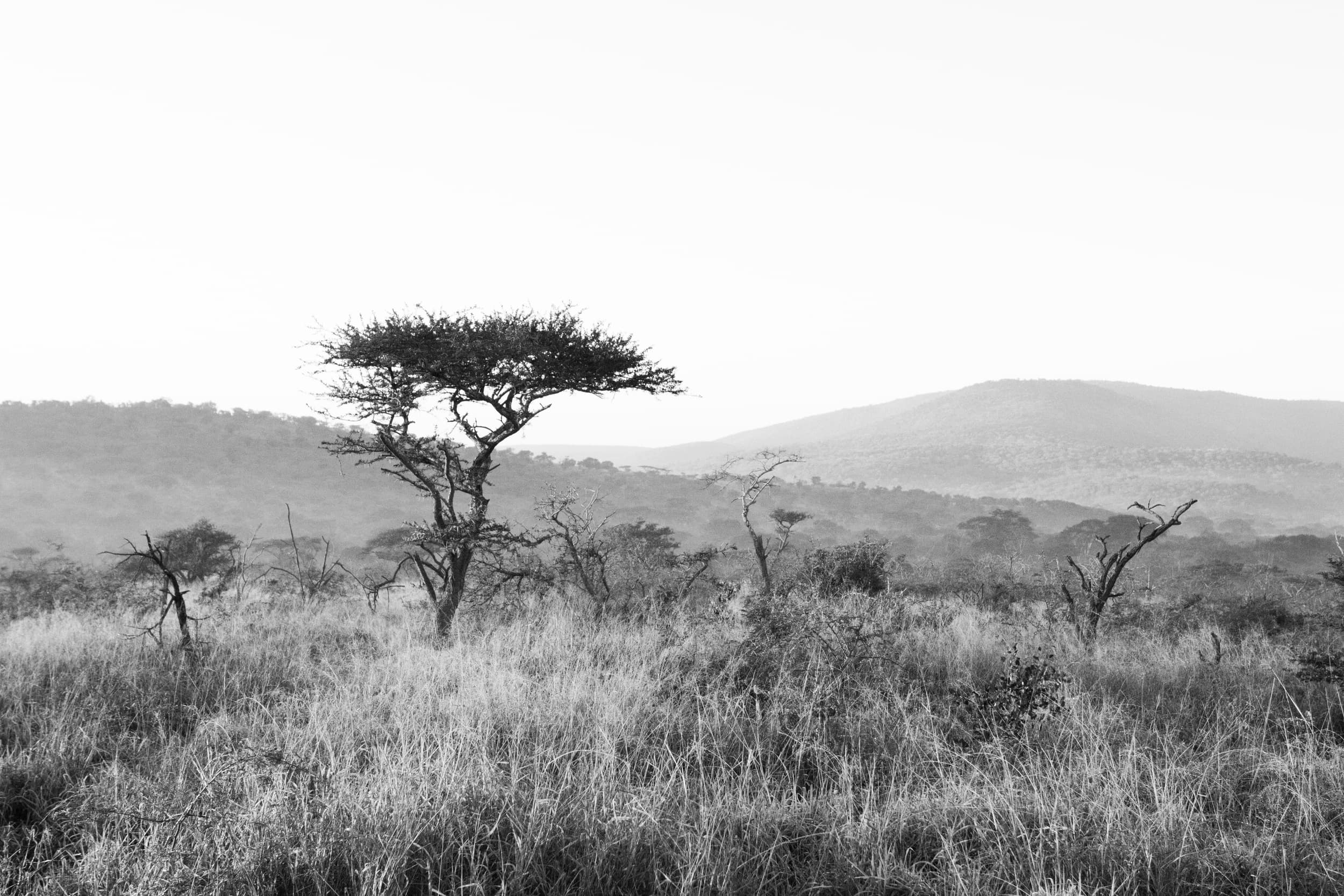 South Africa photography