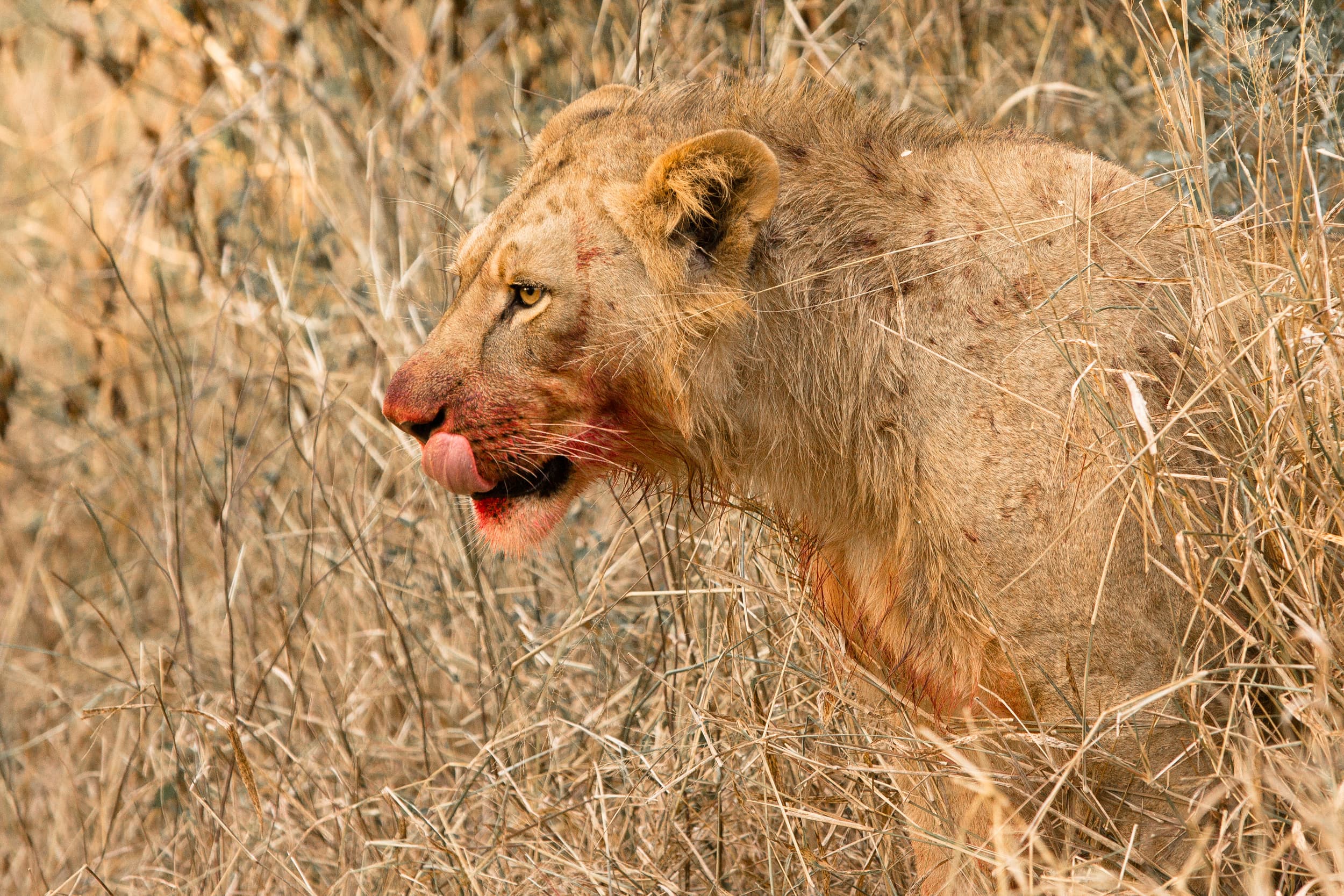South Africa photography
