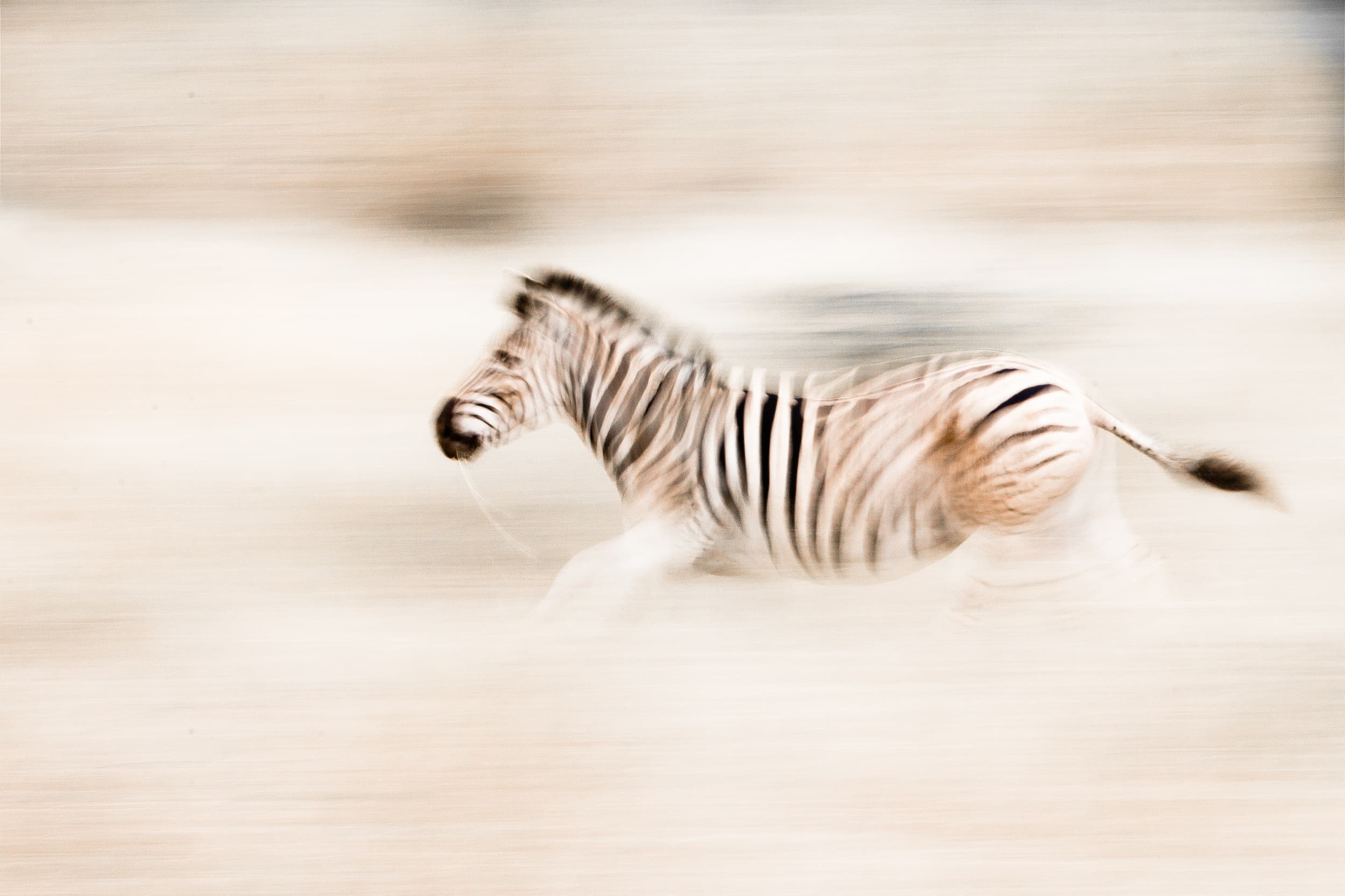South Africa photography