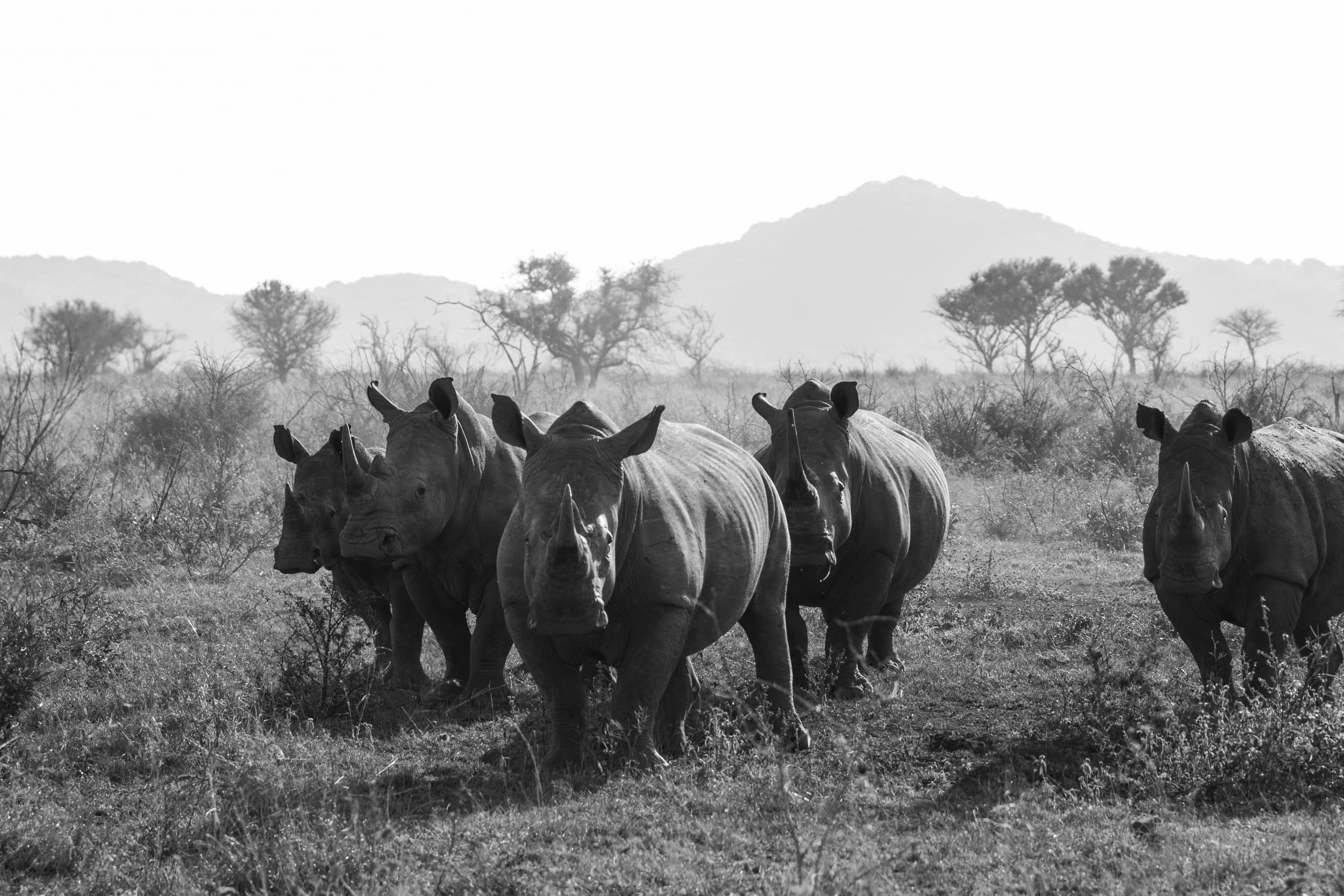 South Africa photography