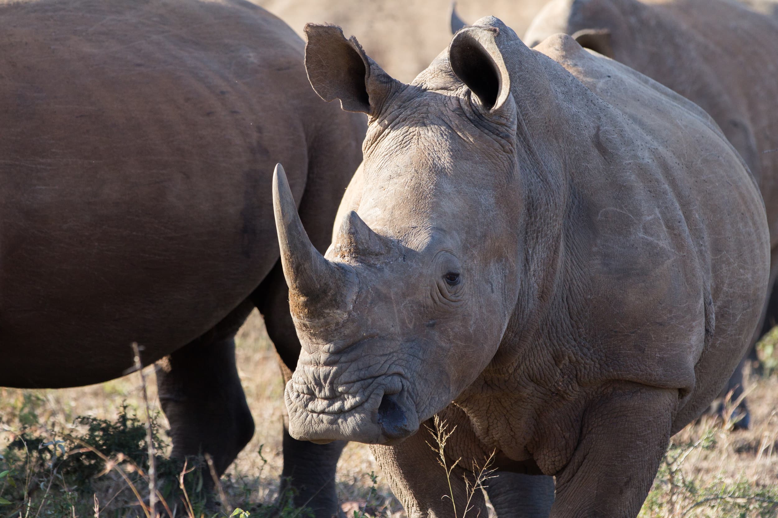 South Africa photography