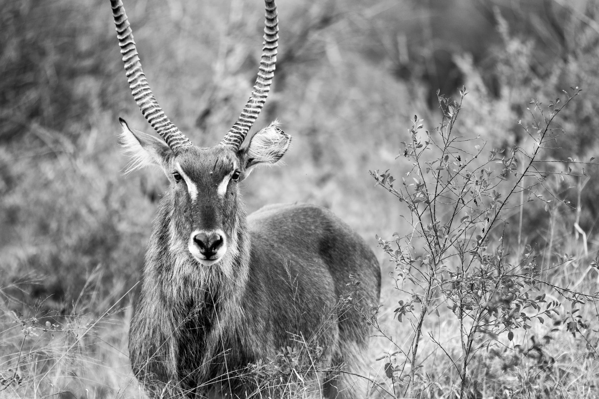 South Africa photography