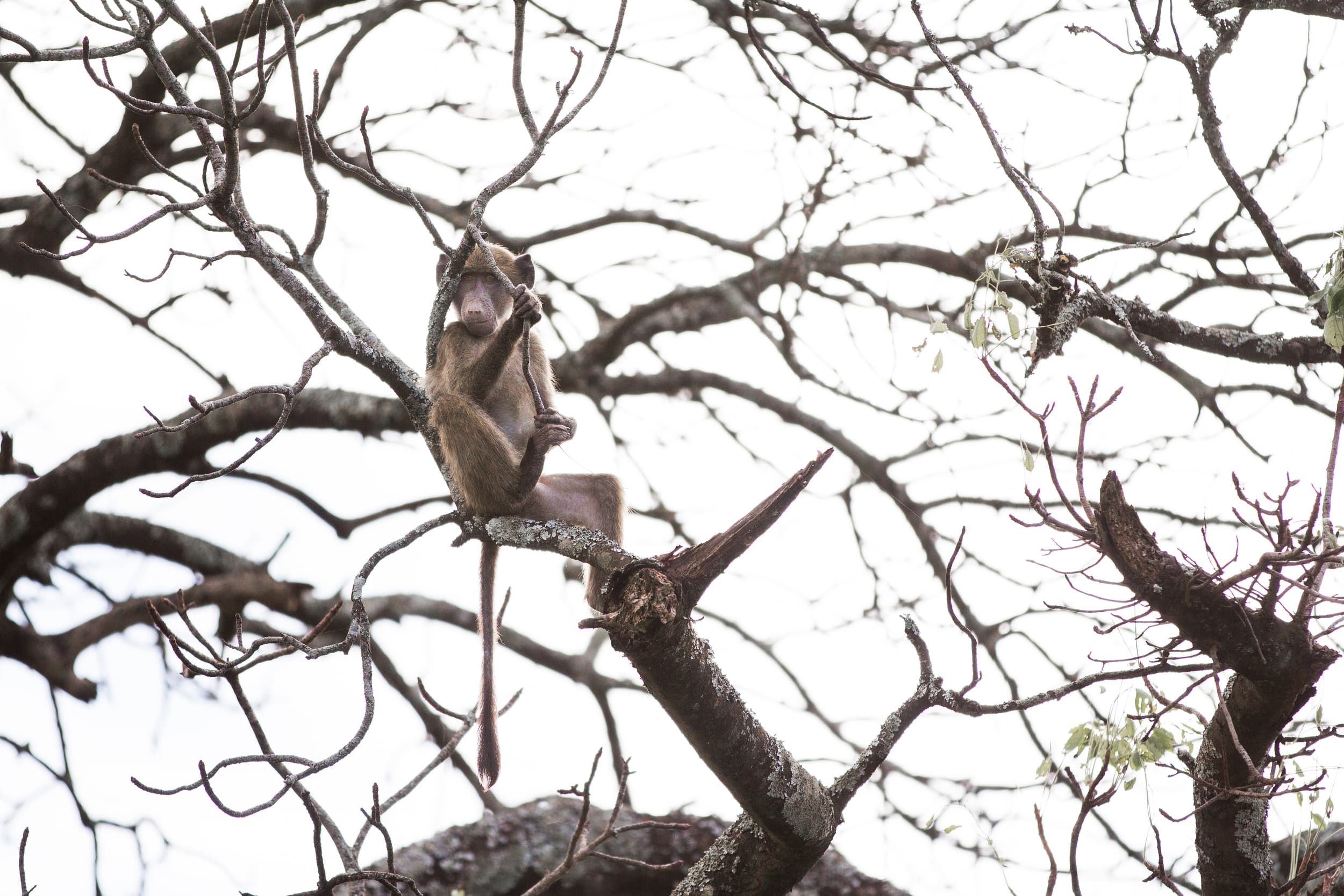 South Africa photography