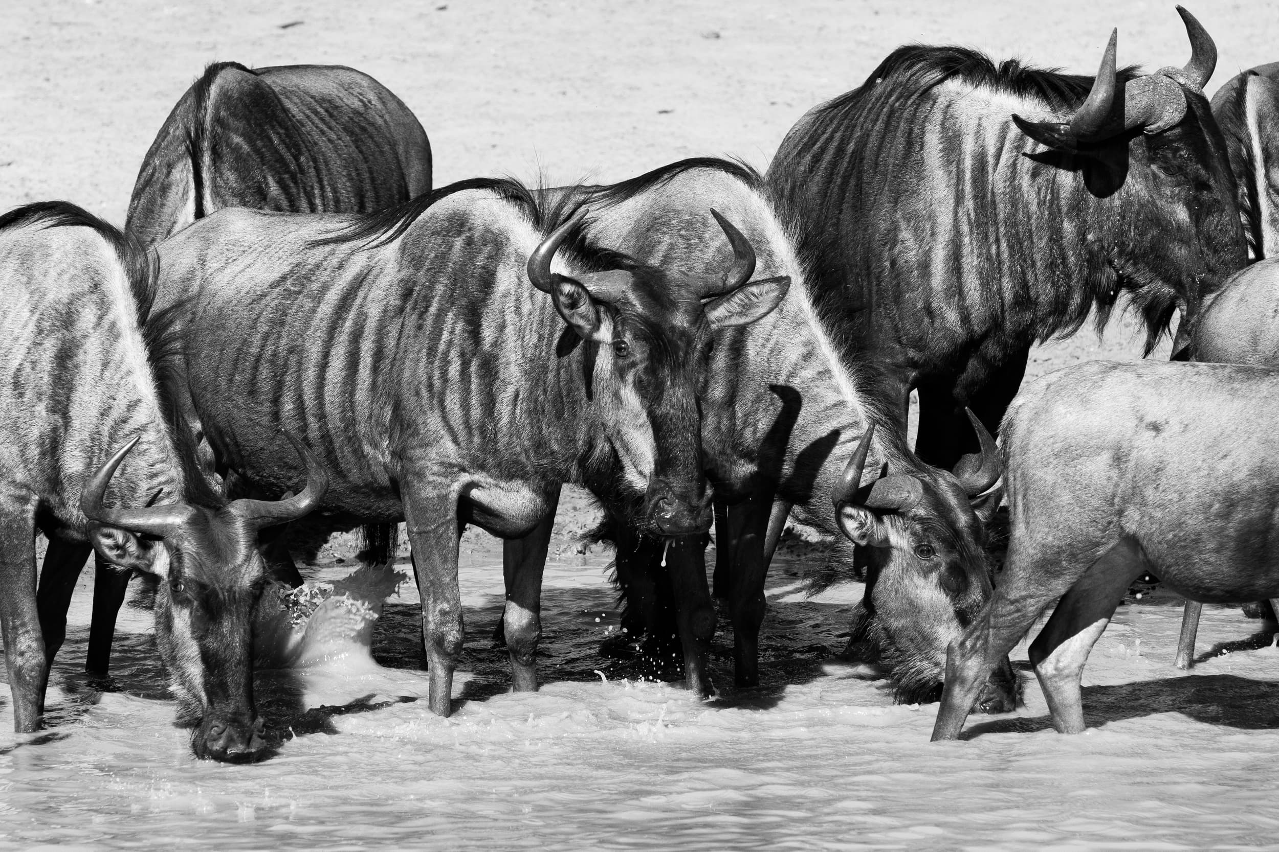 South Africa photography