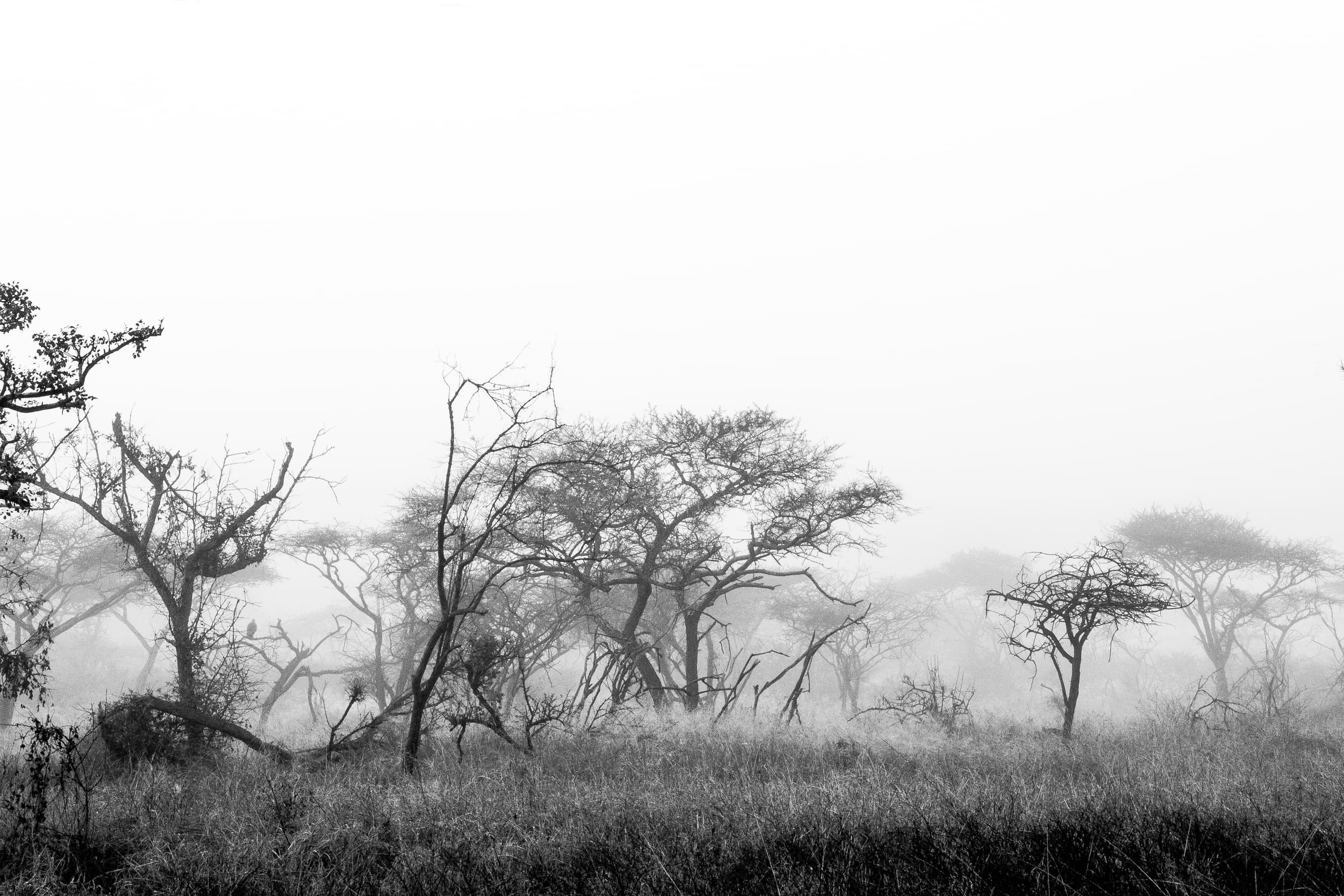 South Africa photography