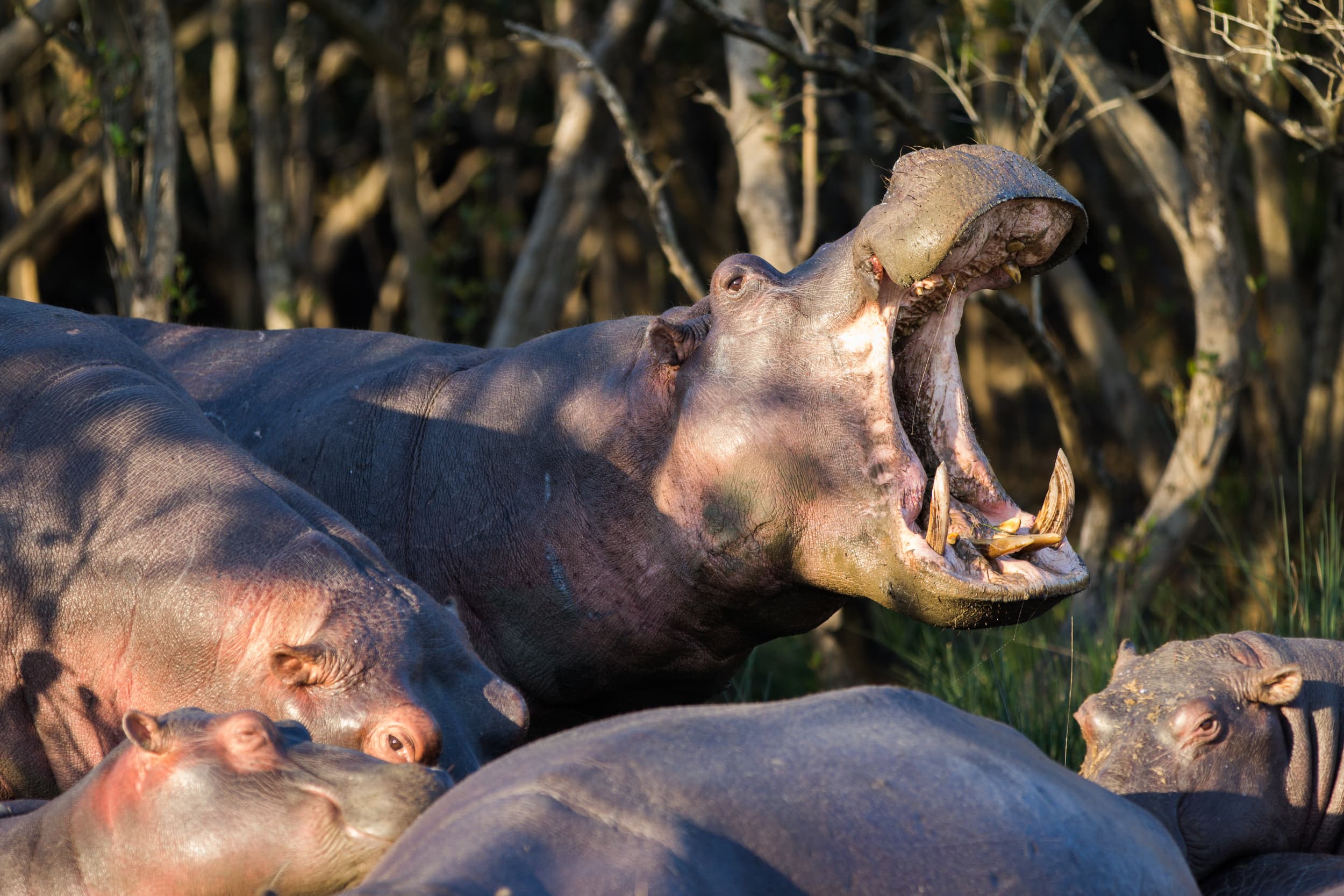 South Africa photography