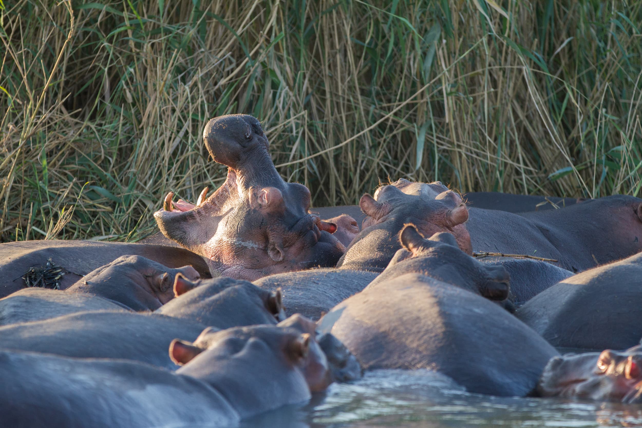South Africa photography