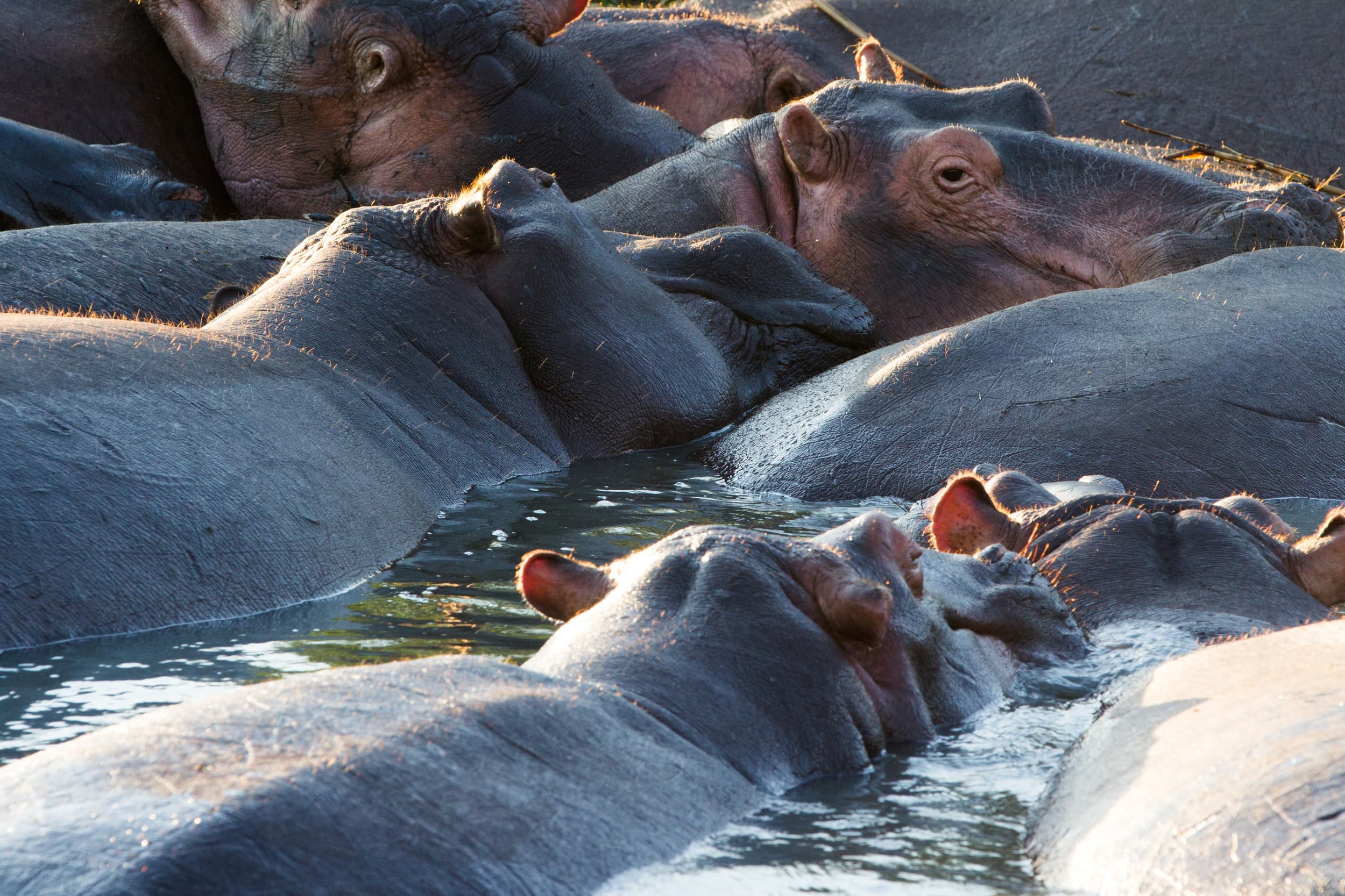 South Africa photography