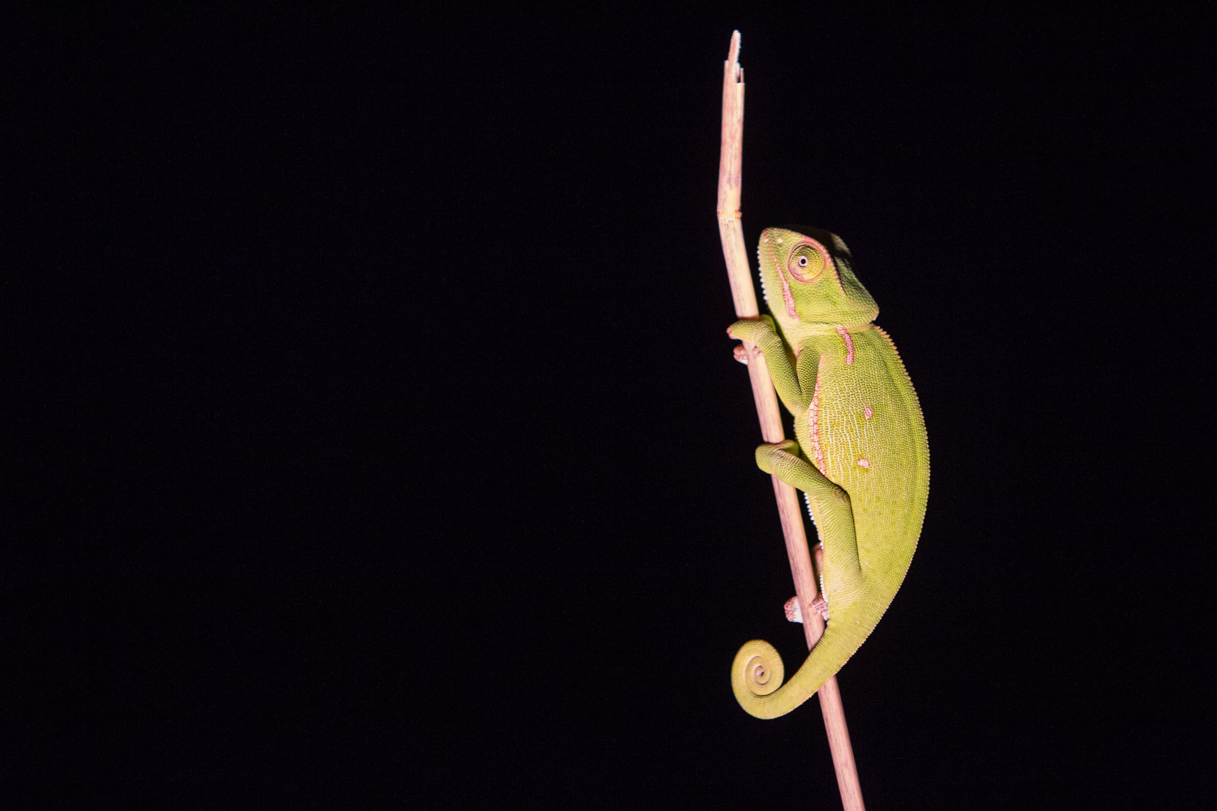 South Africa photography