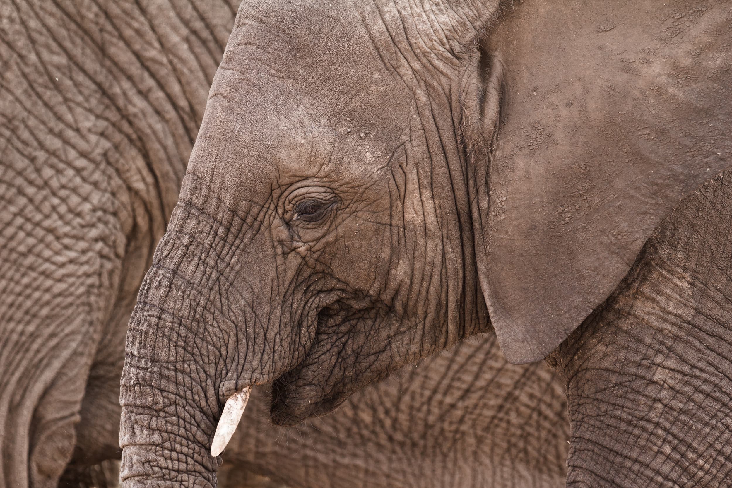 South Africa photography