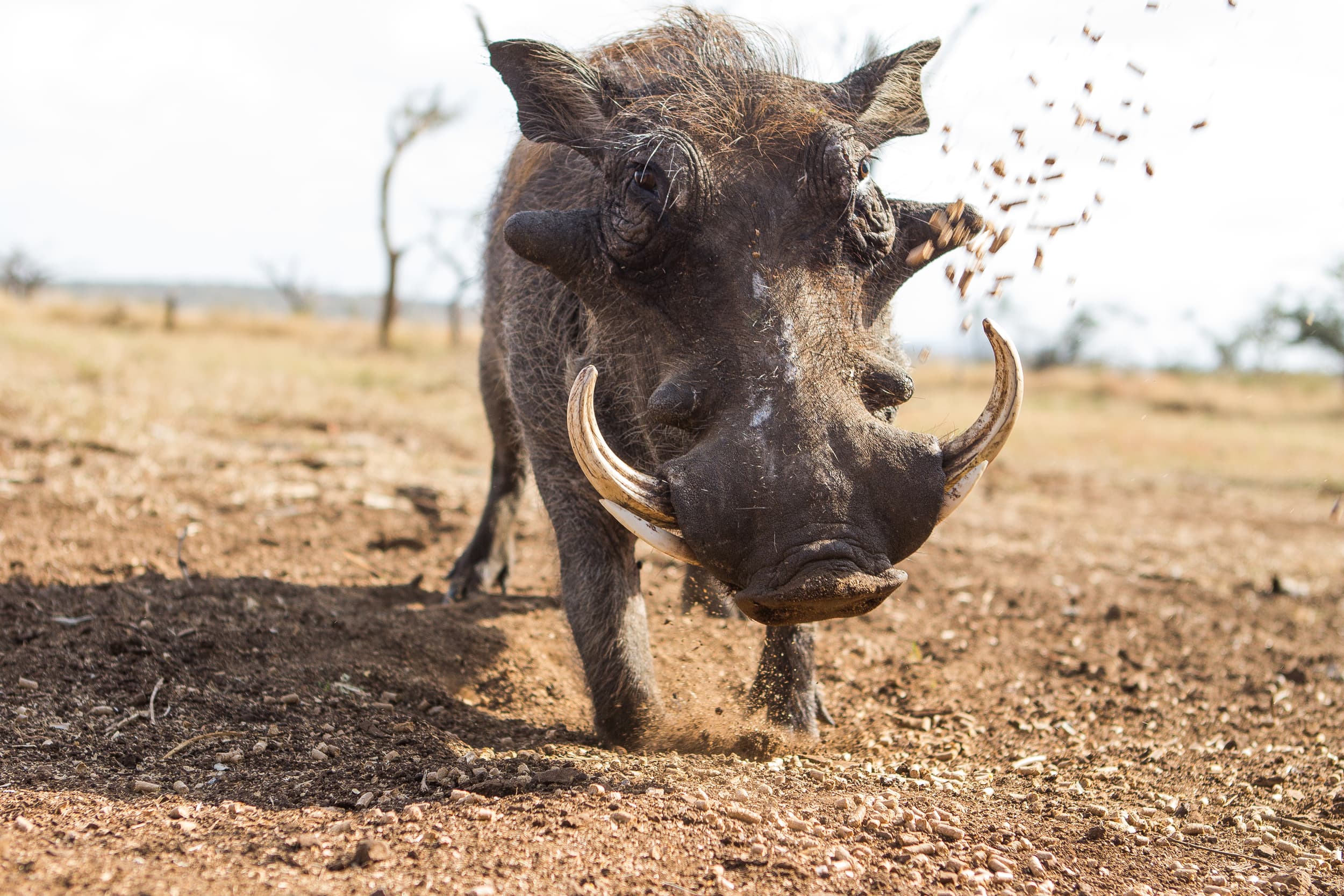 South Africa photography