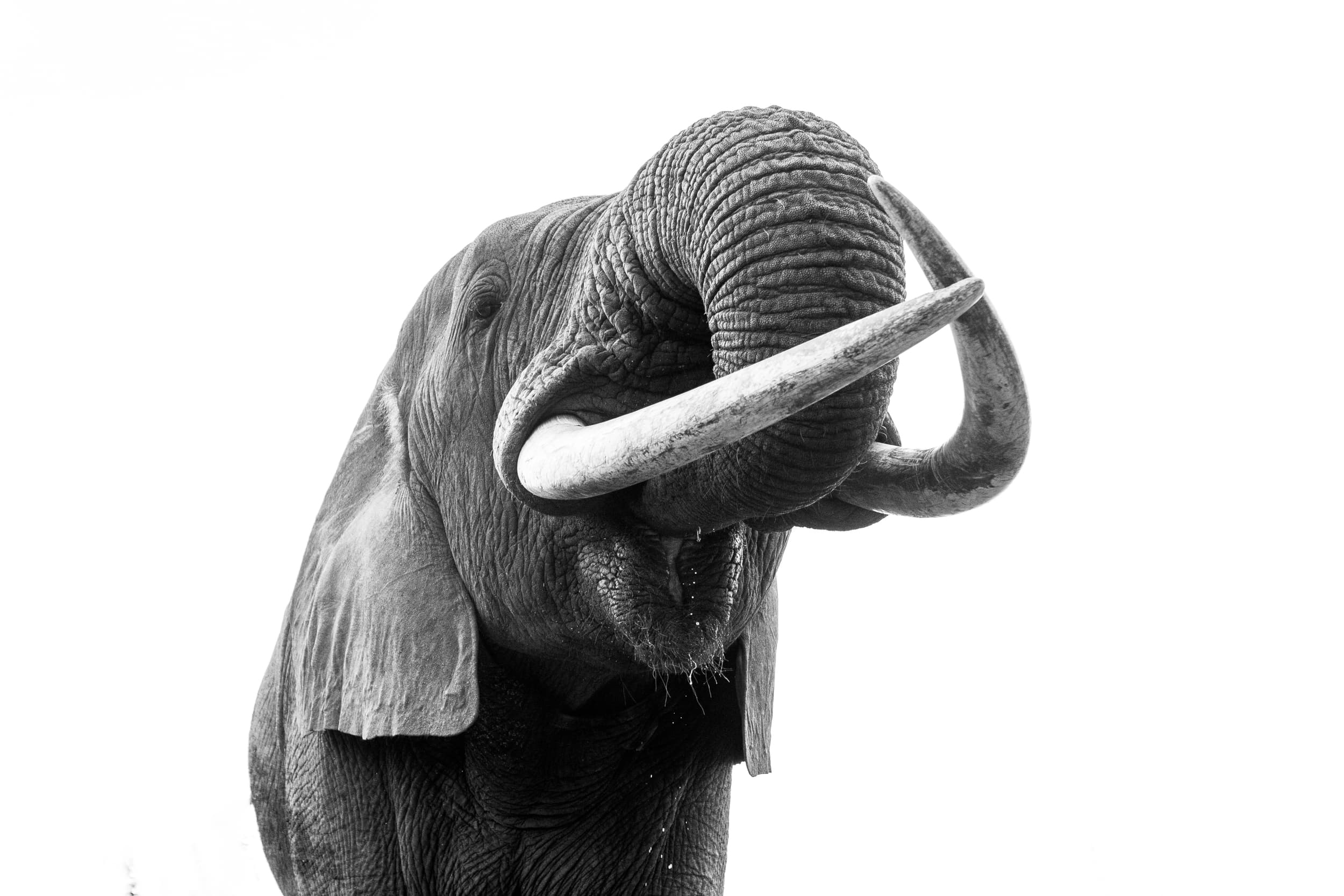 South Africa photography
