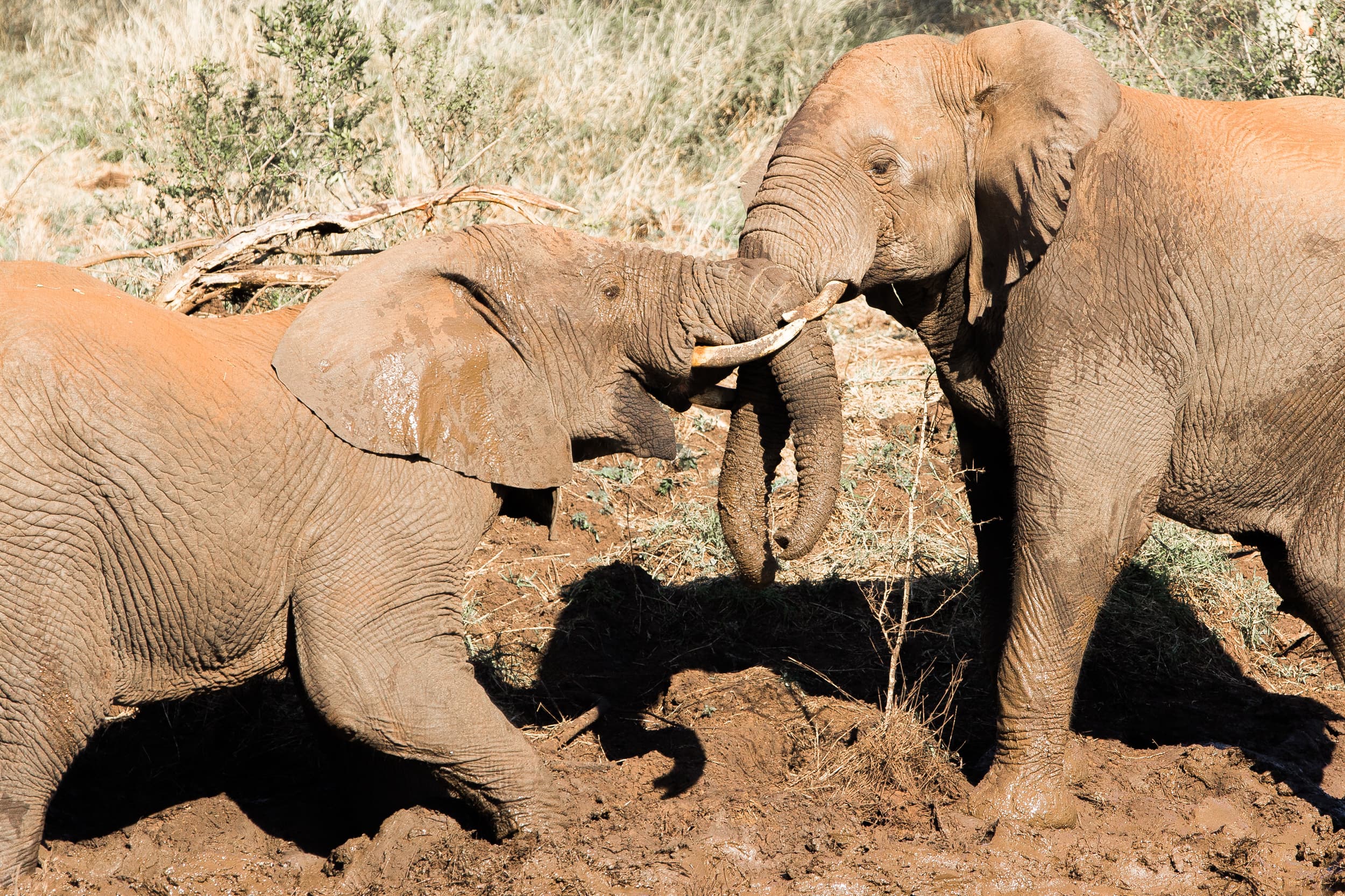 South Africa photography
